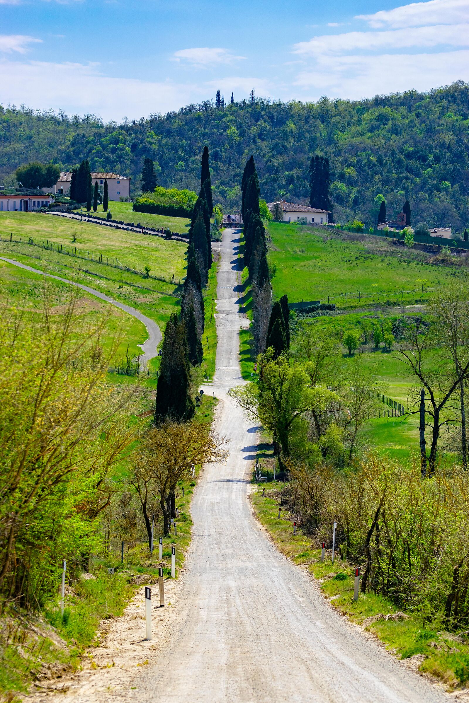 The white roads of Siena