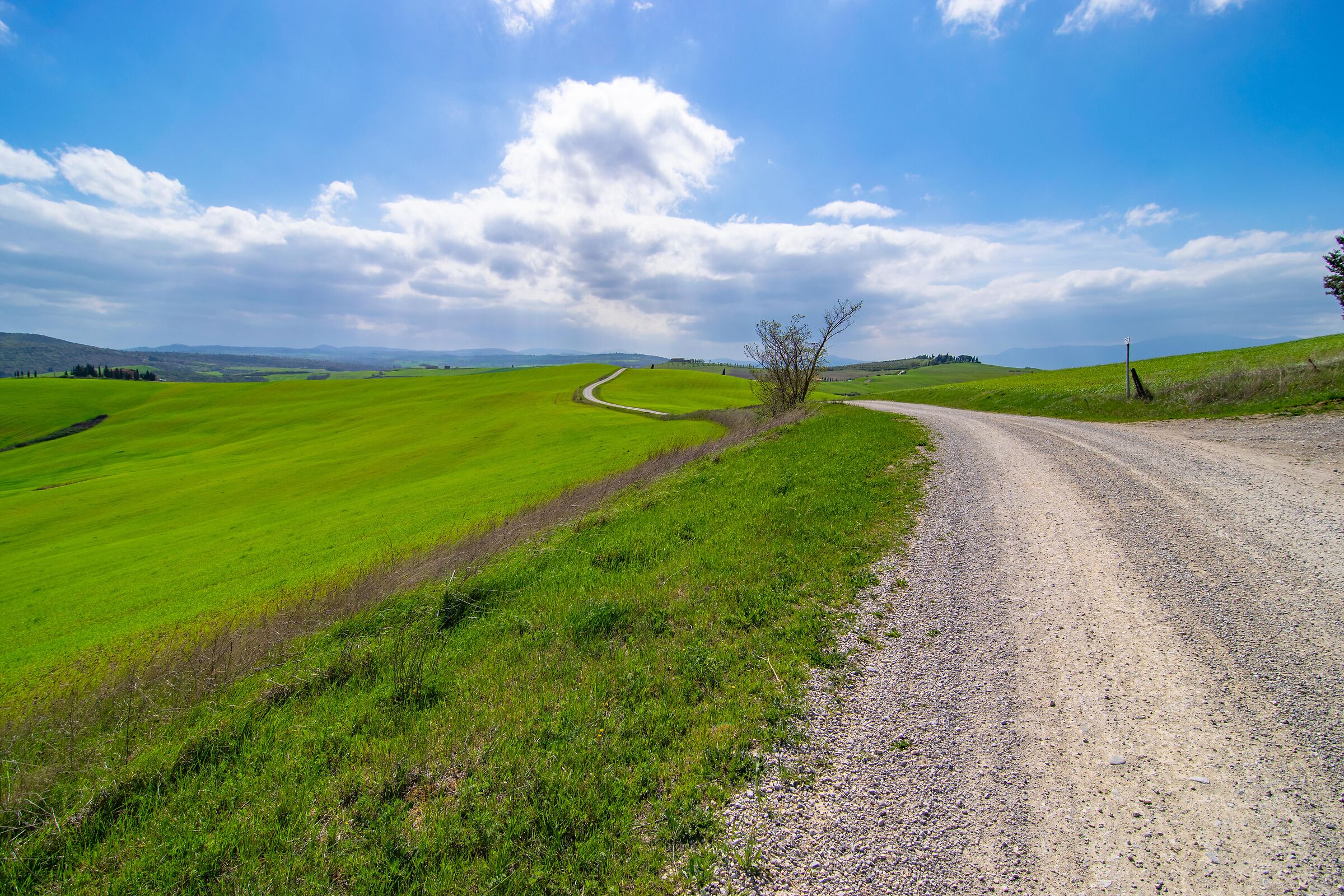 Strade Bianche: sulle orme della gara ciclistica