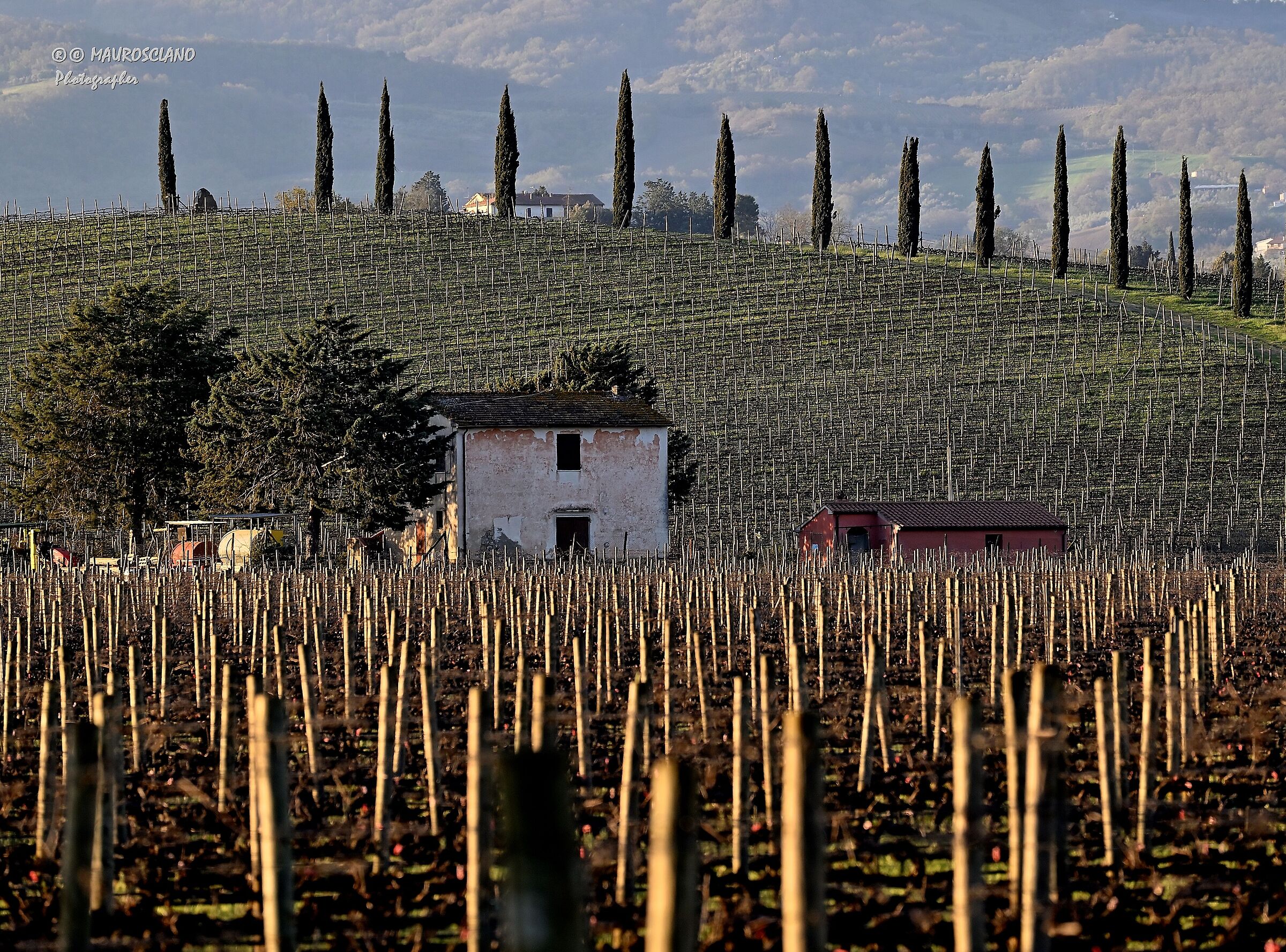 Maremma