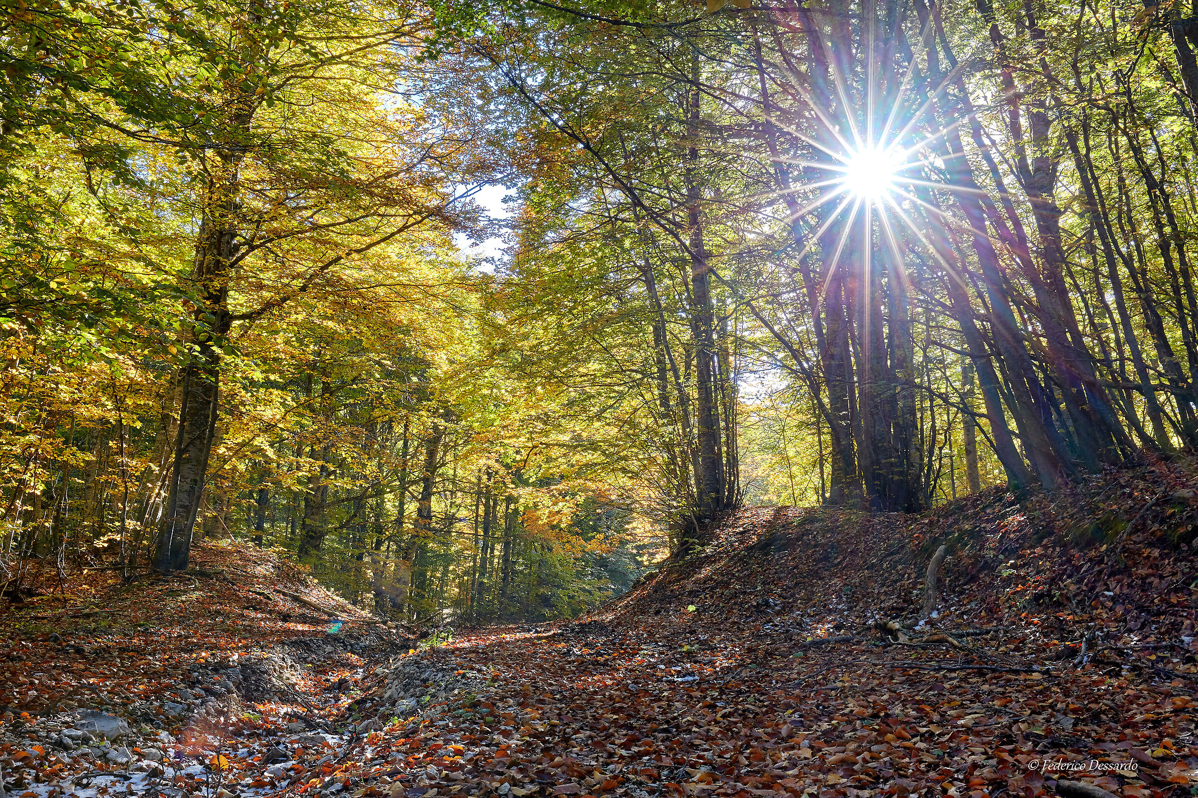 Sentieri autunnali nella Val di Terra