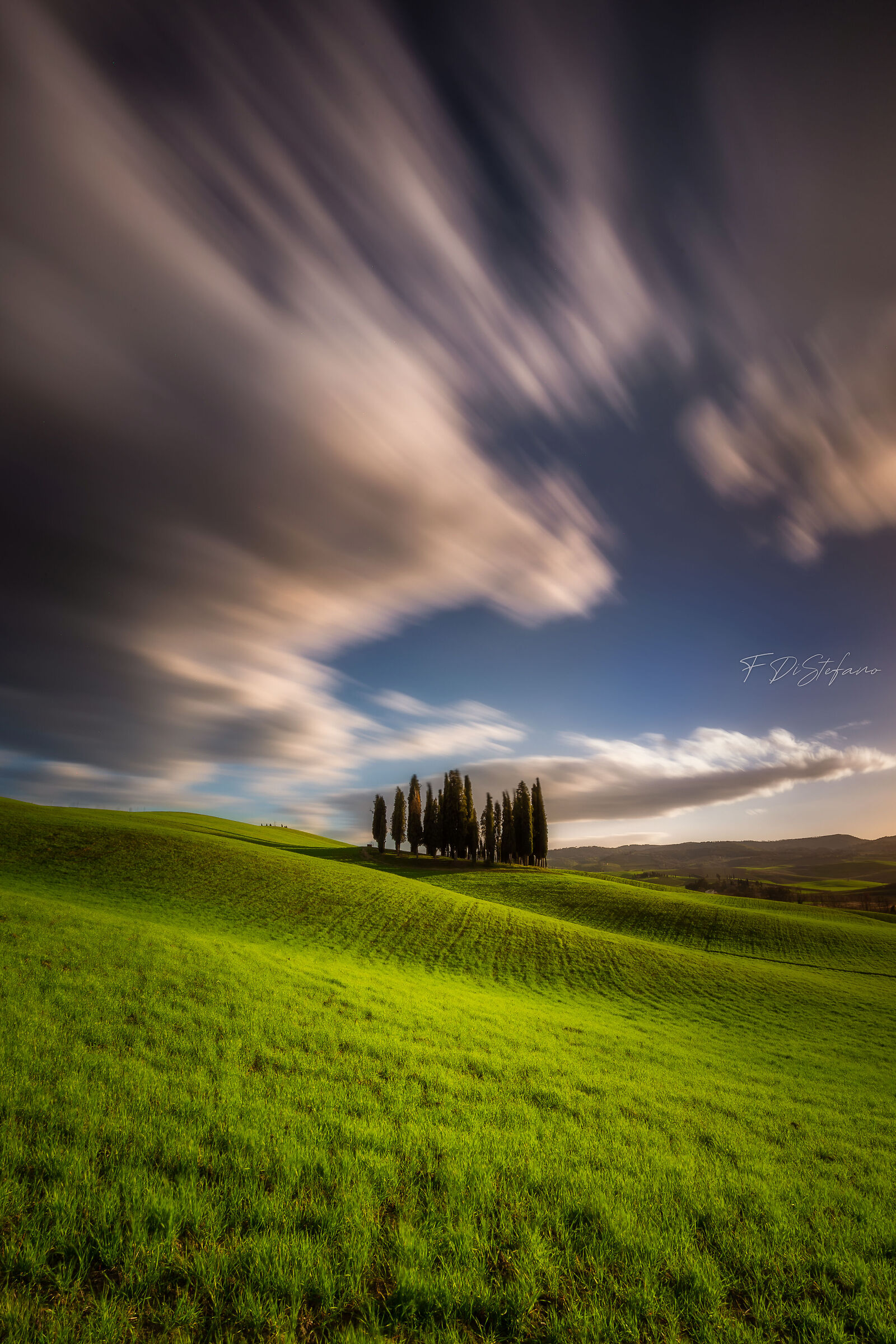 The Cypresses of S.Quirico d'Orcia
