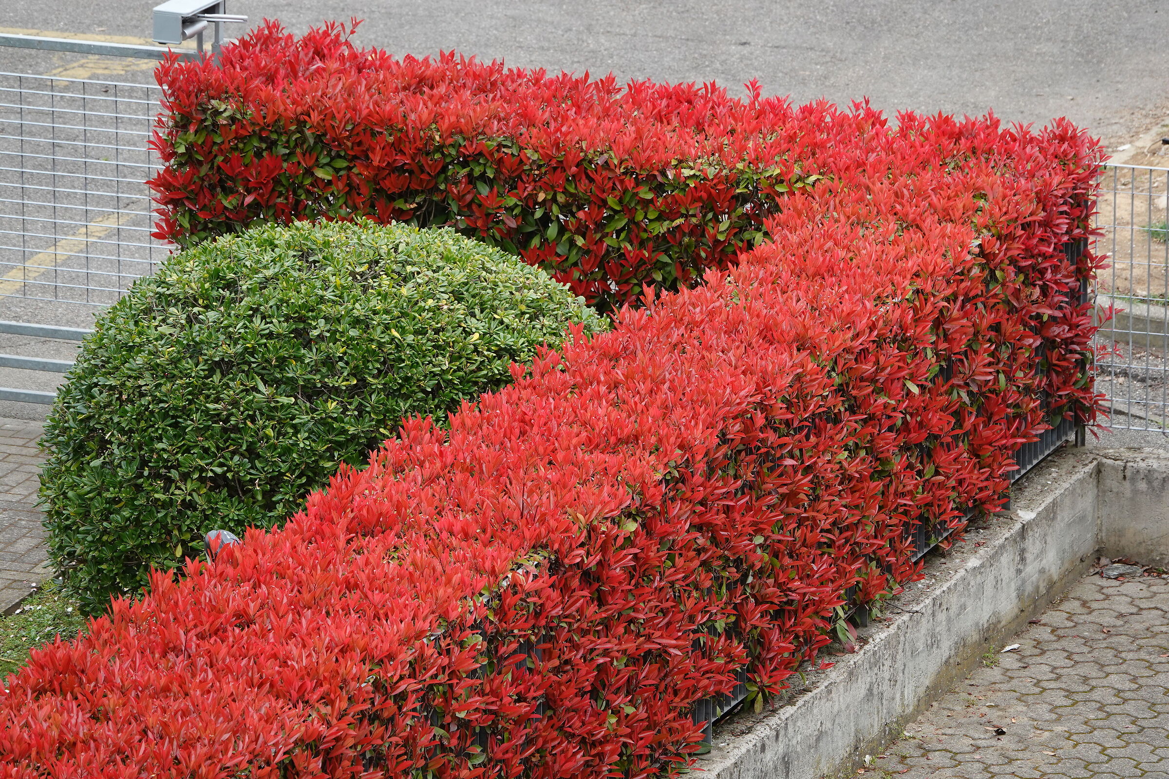 Geometrie Condominiali