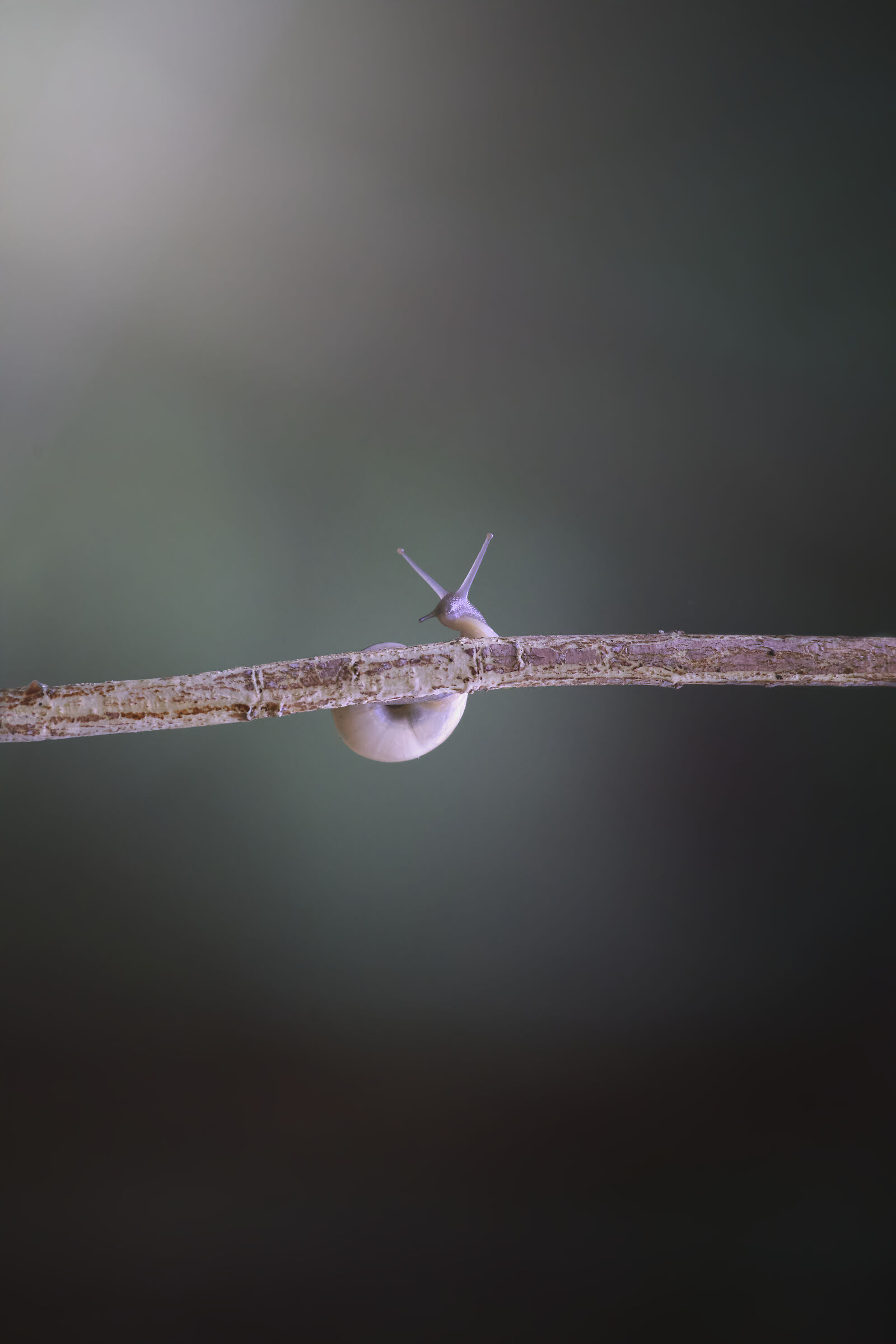 Untitled Photo