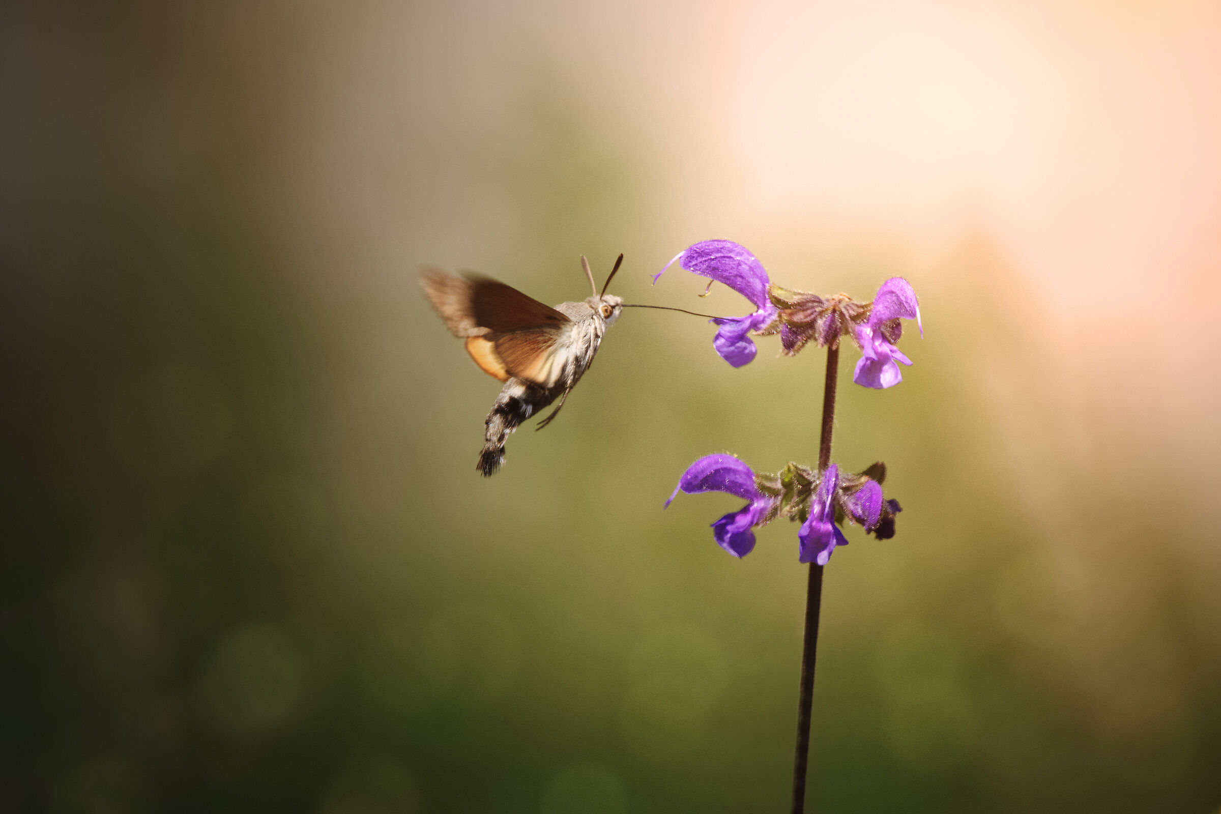 Untitled Photo