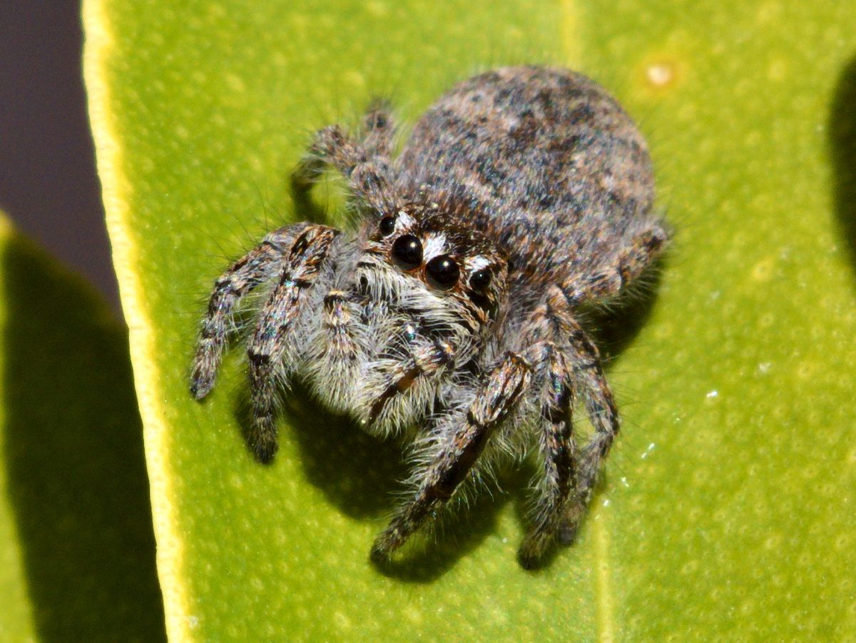 With open eyes