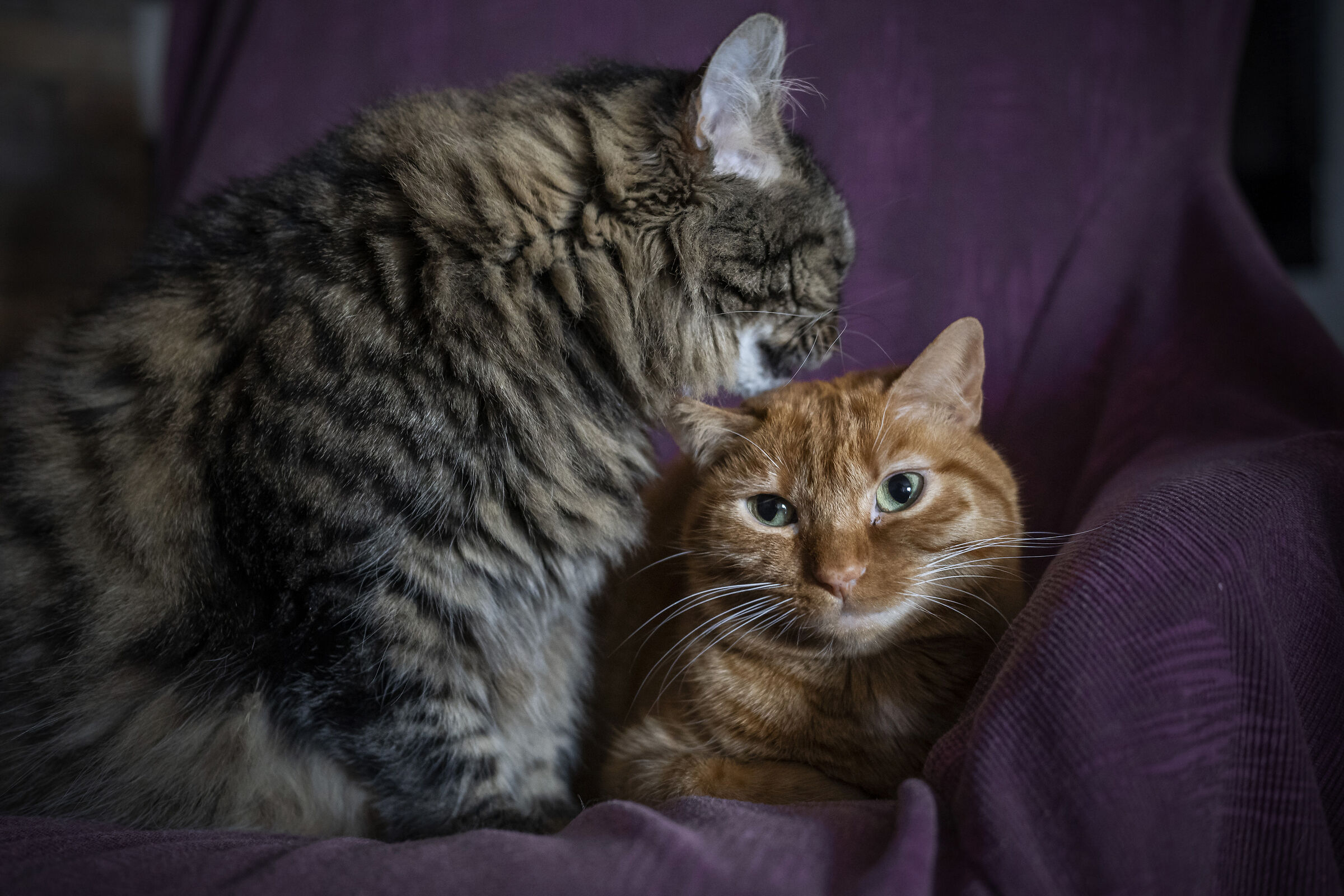 Loving each other