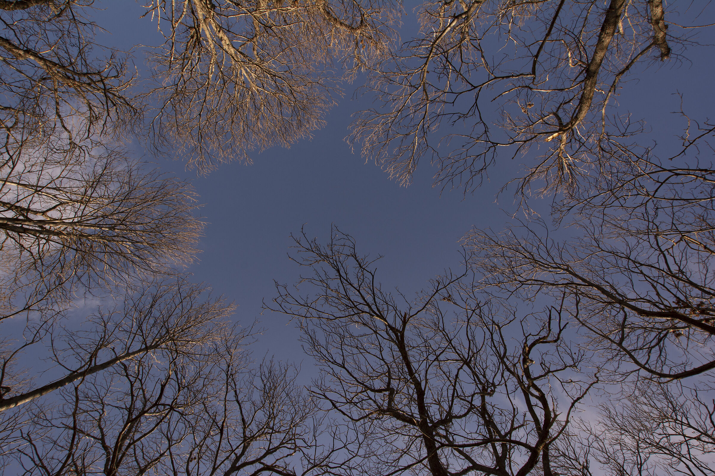 Natura "Addormentata"