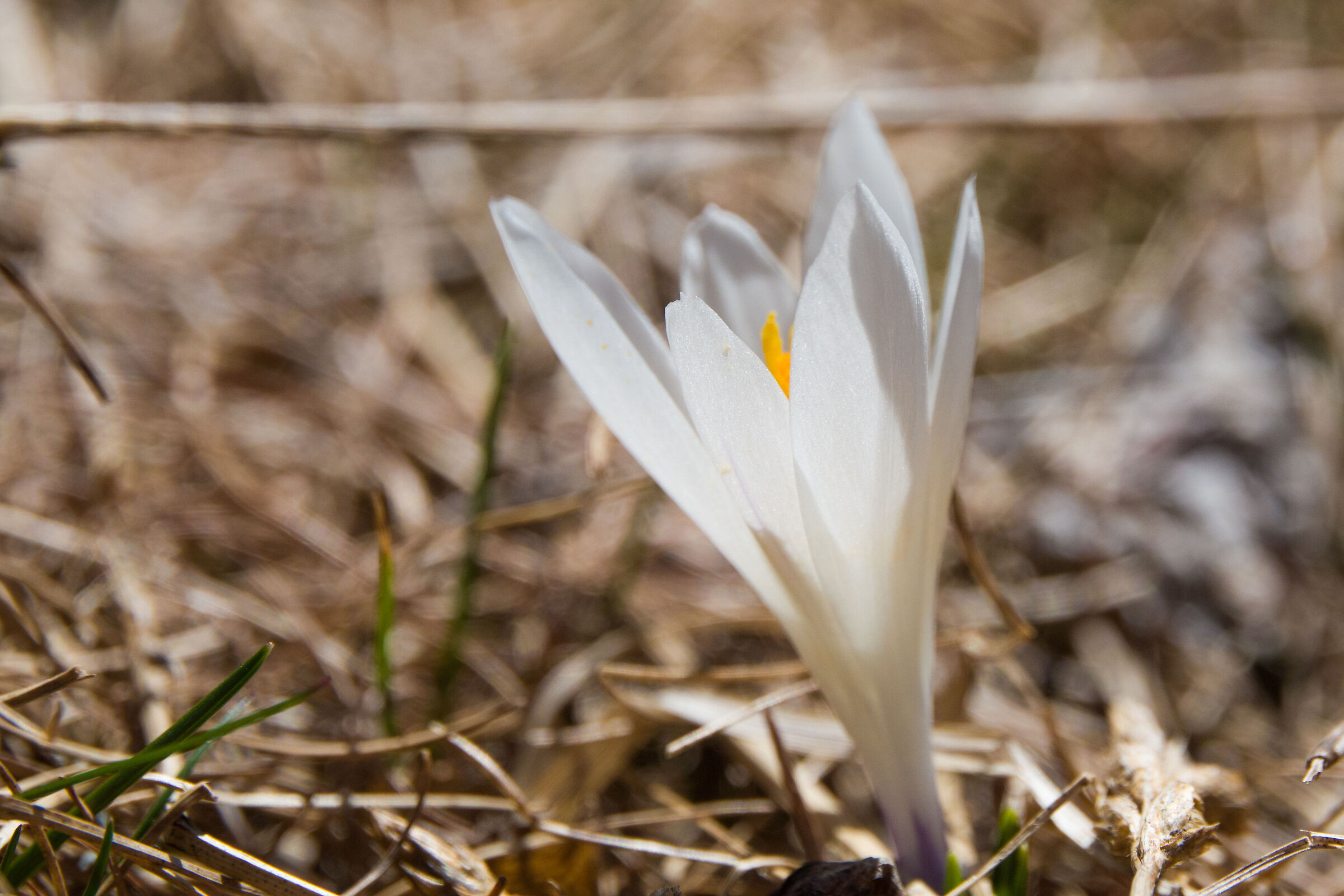 Untitled Photo