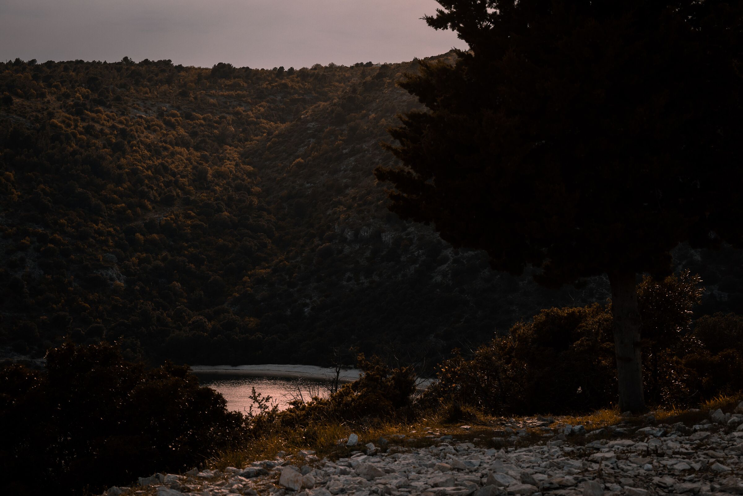 Il percorso di Houser