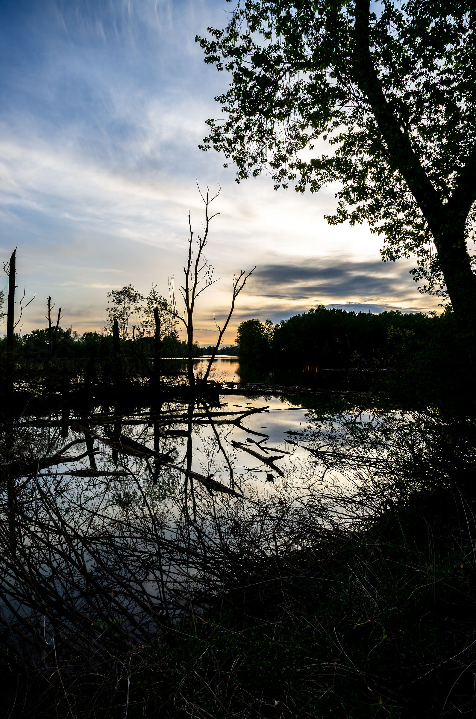Tramonto sulla lanca