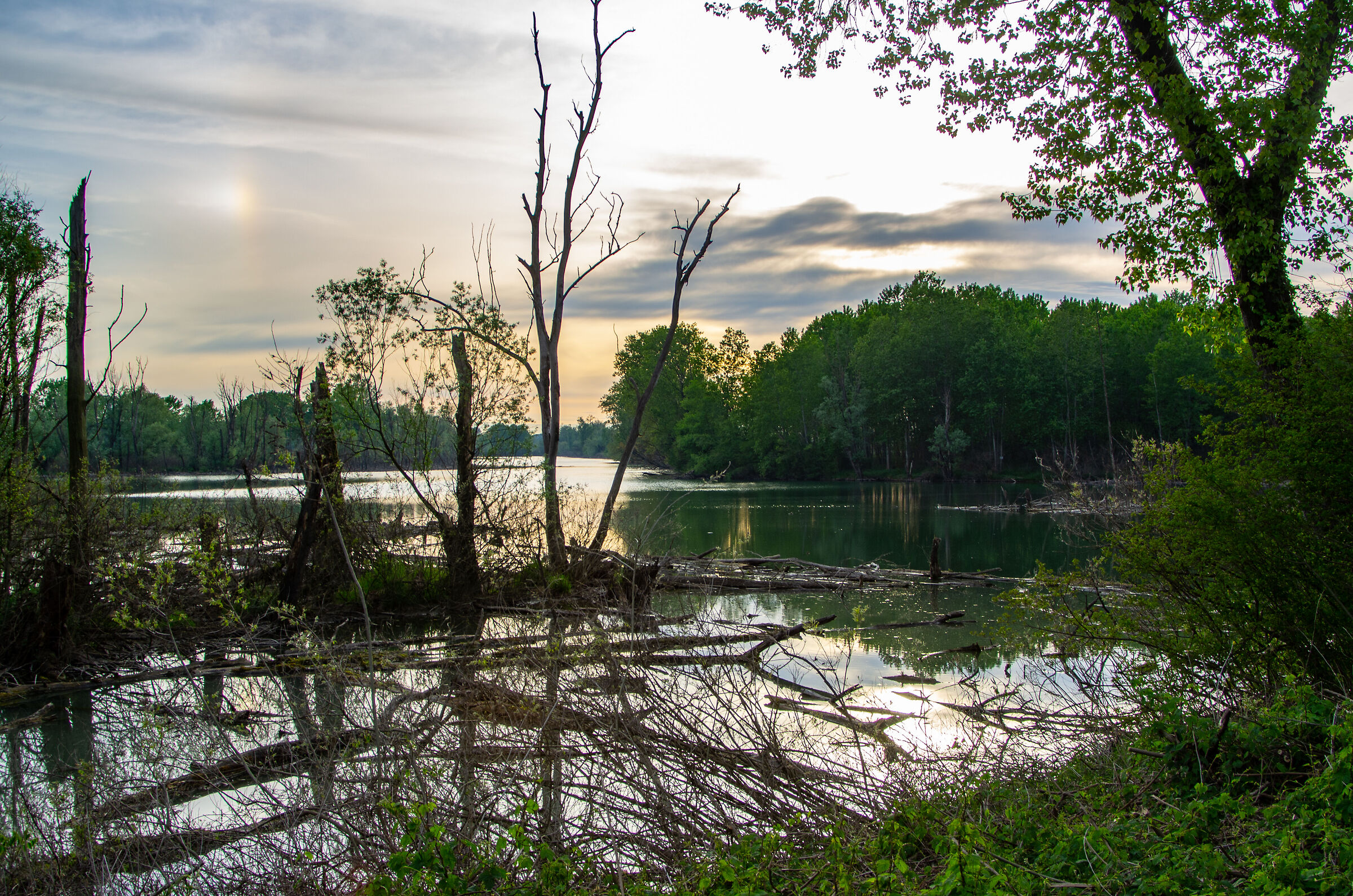 Tramonto sulla lanca