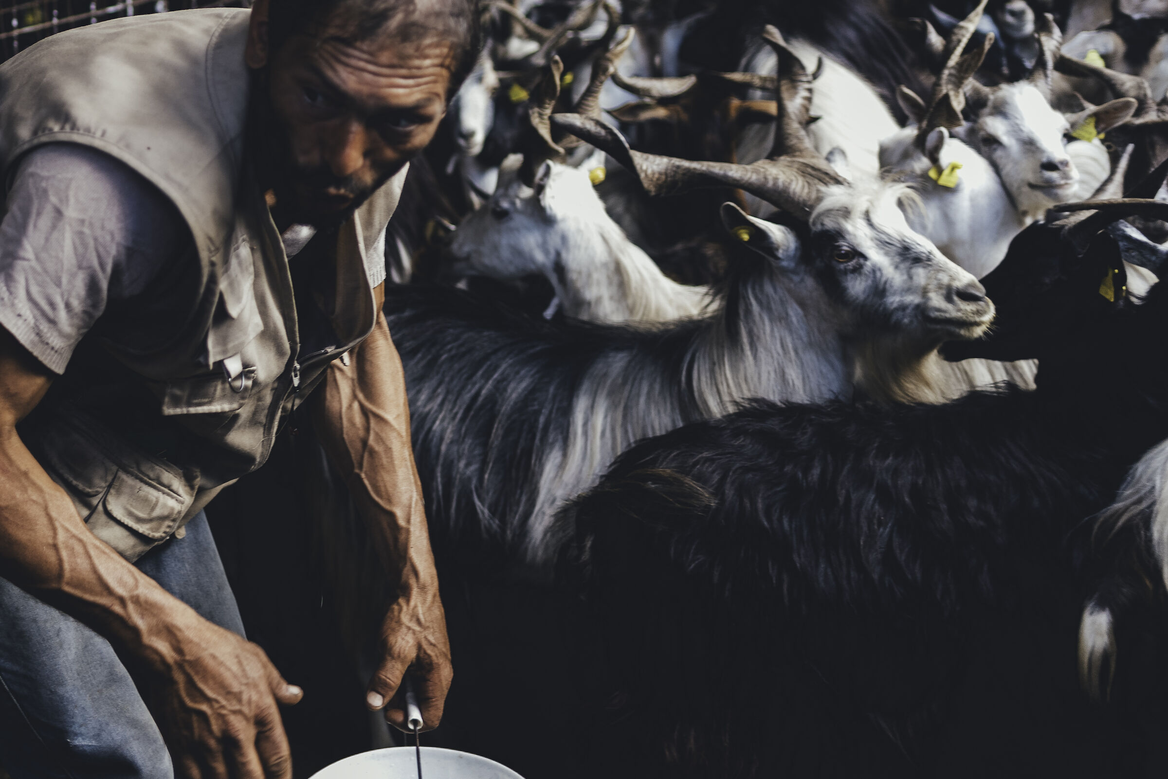 Living in Aspromonte