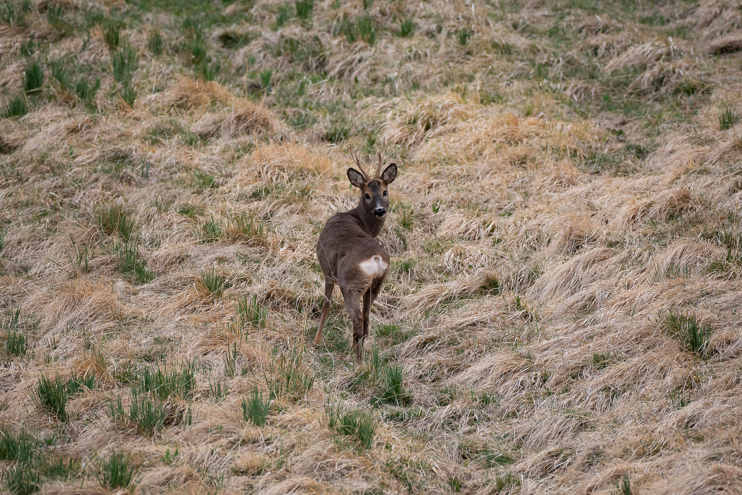 I have to tell you one more thing ...