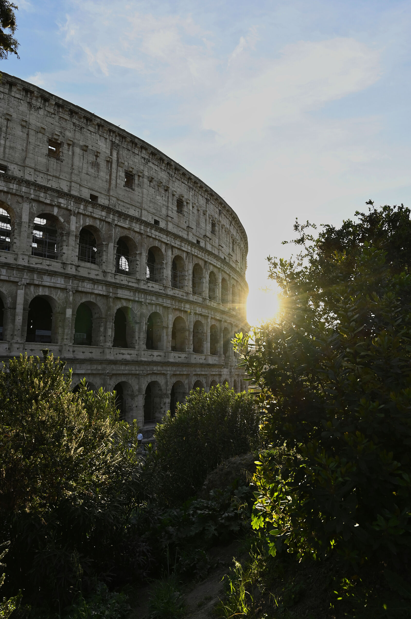 Untitled Photo