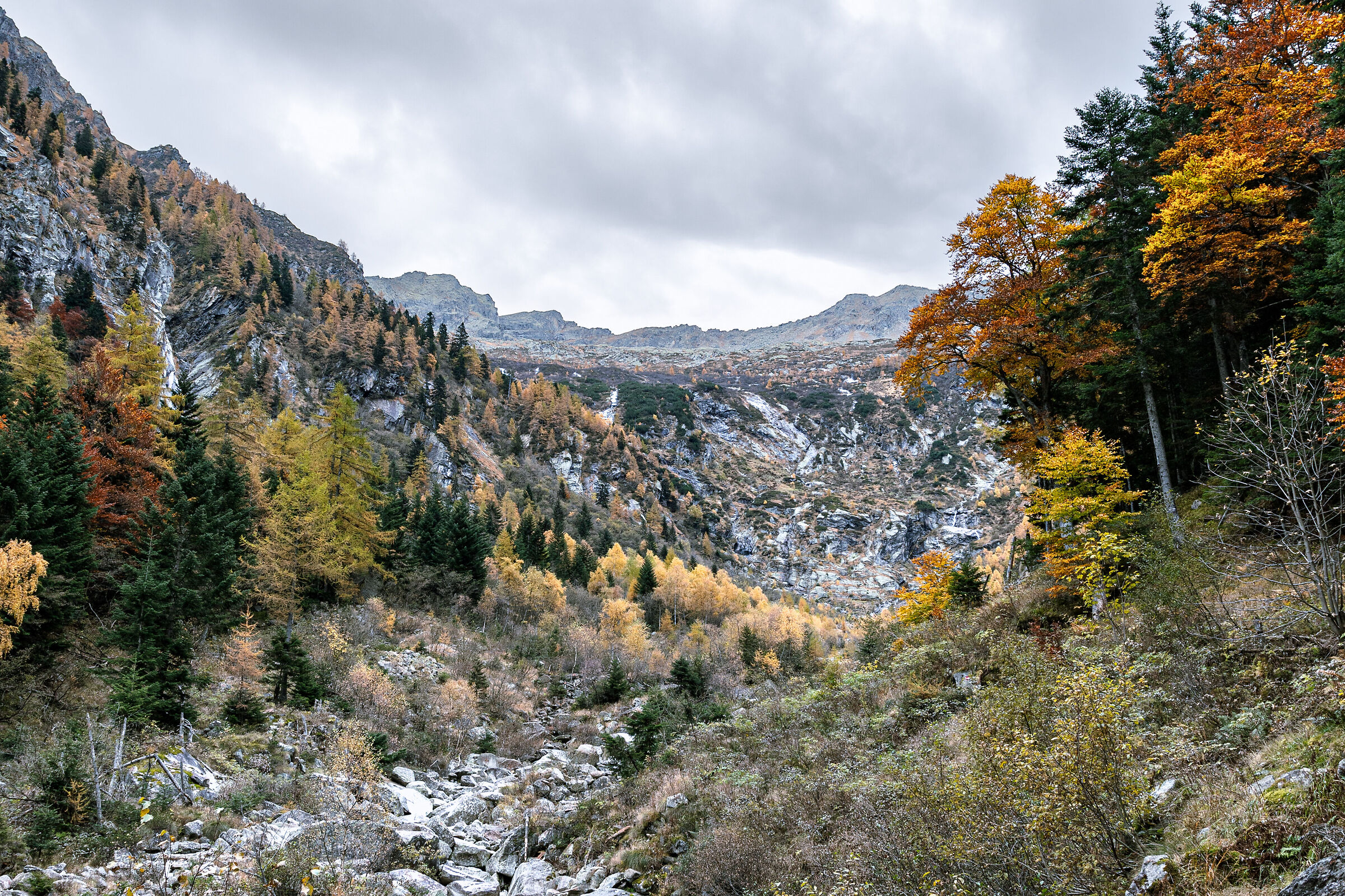 Valle moirana