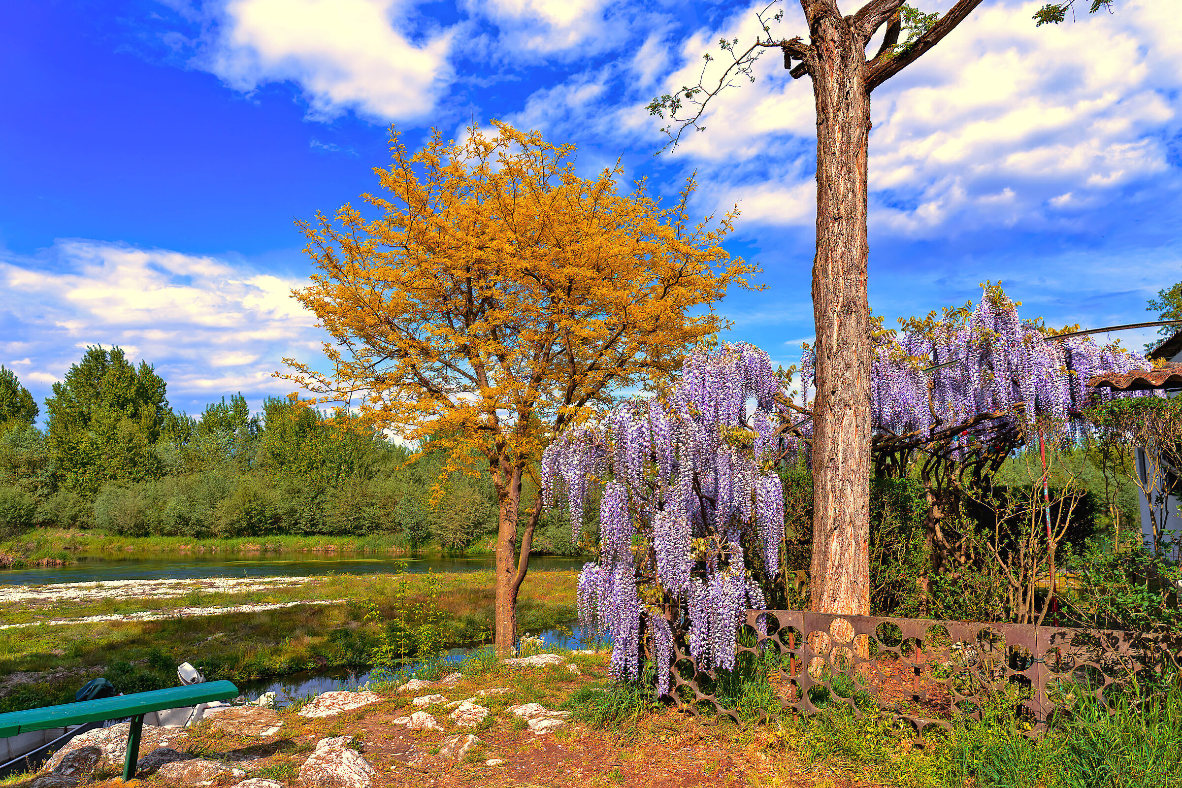 The colors of spring