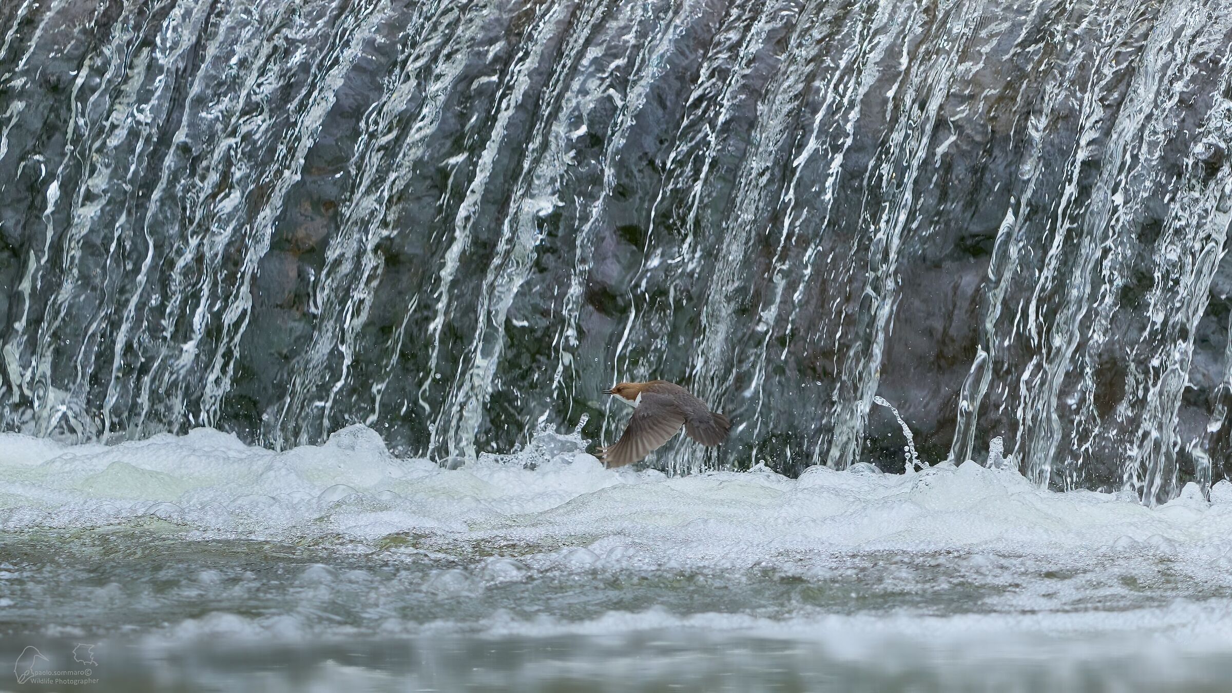 Prova di messa a fuoco...