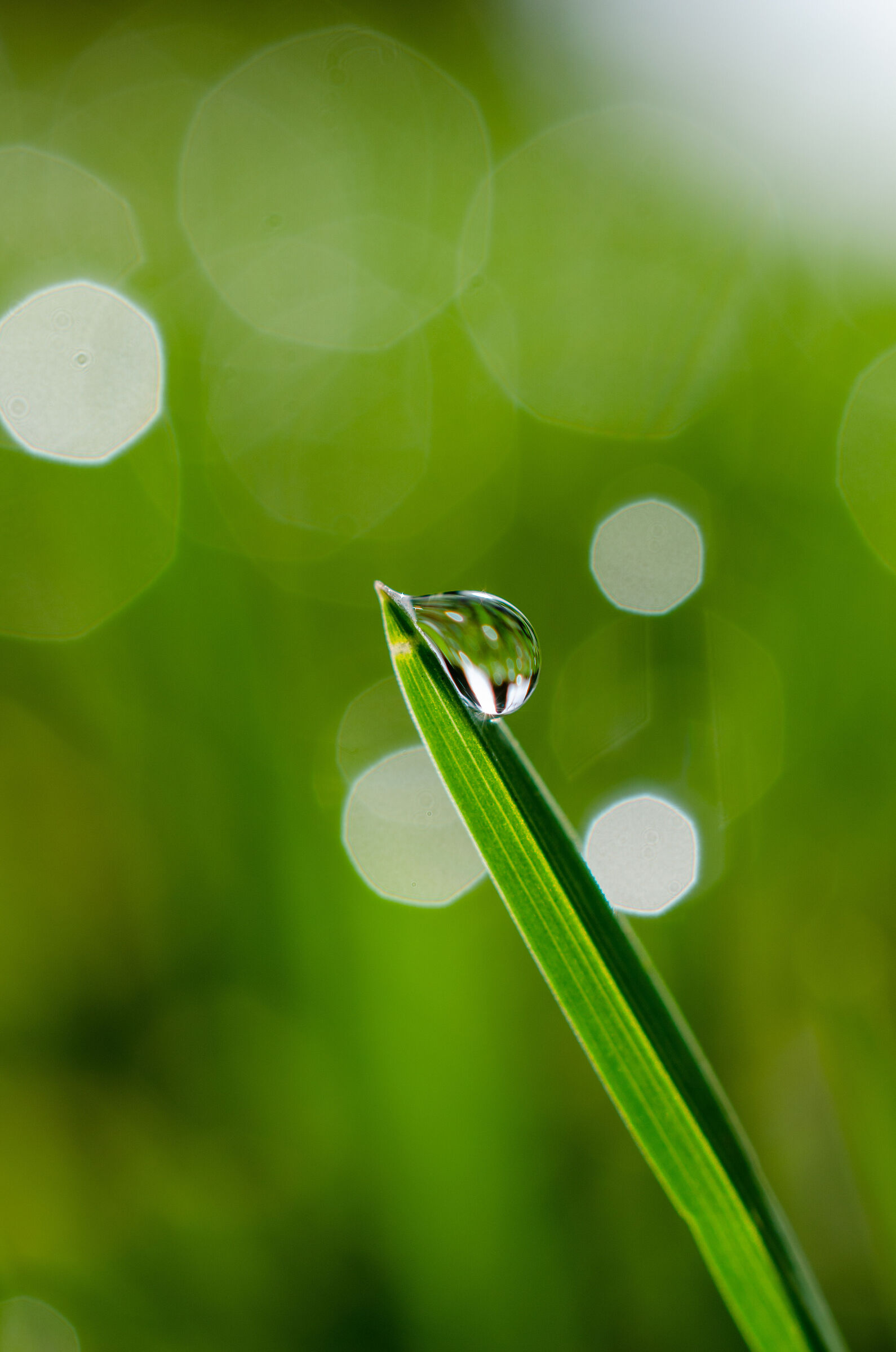 Droplet