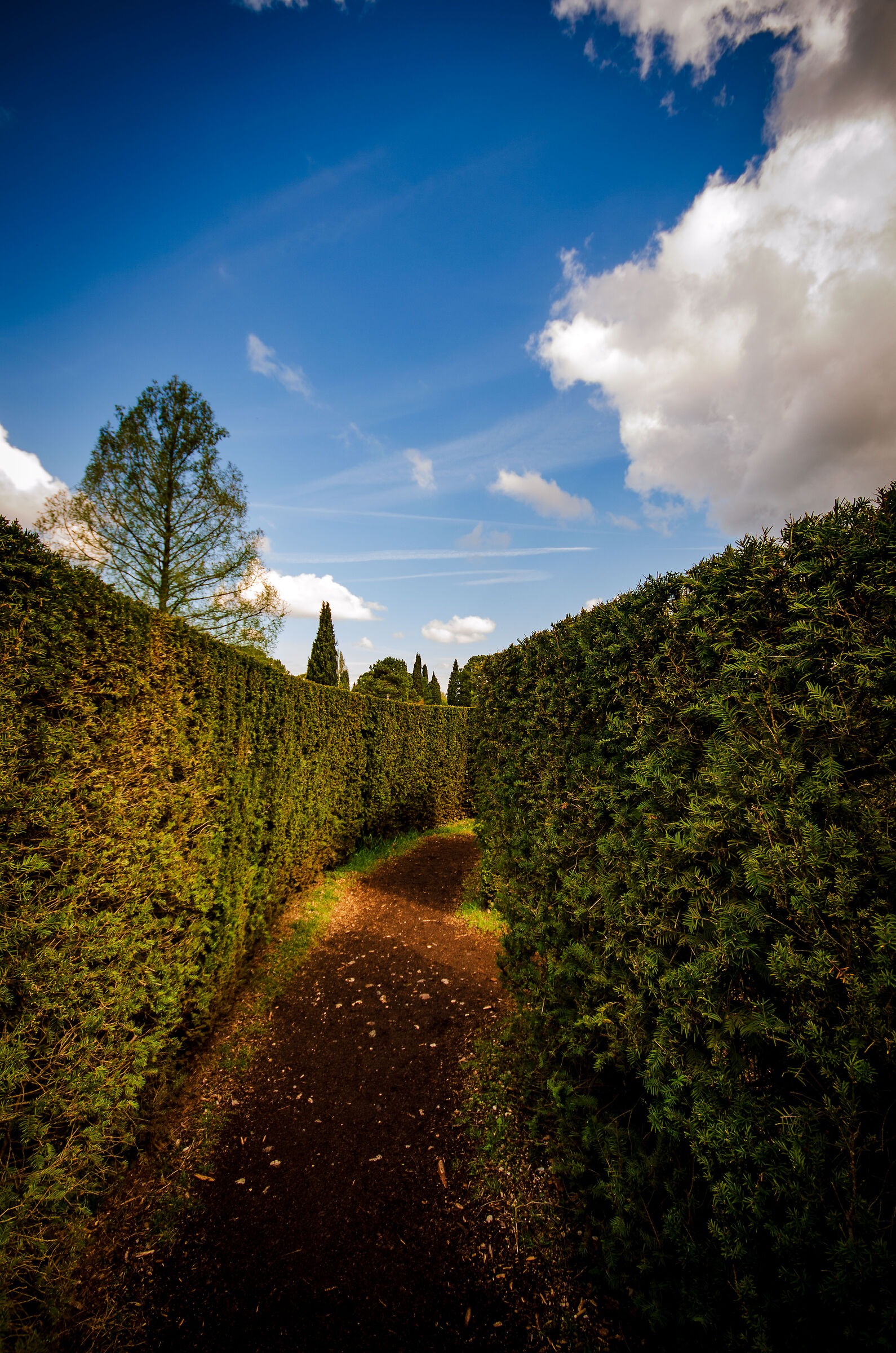 The Labyrinth