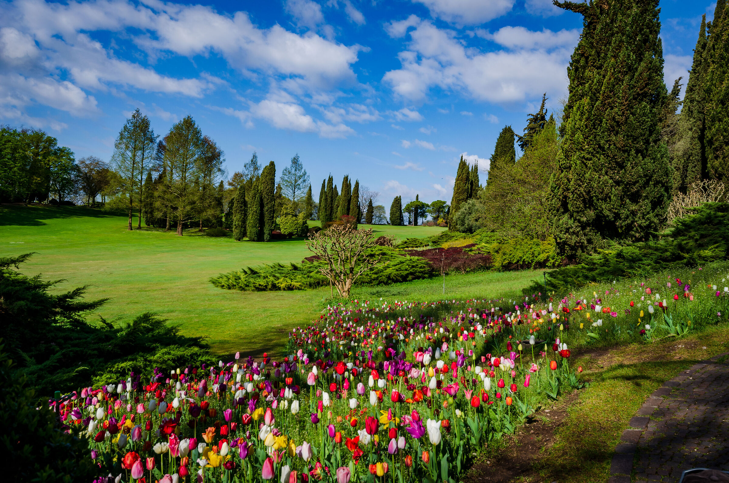 Spring landscape