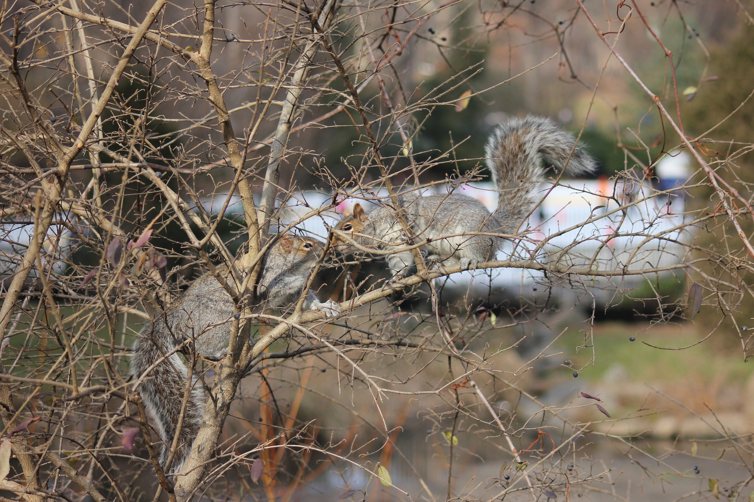 Love from New York 2011