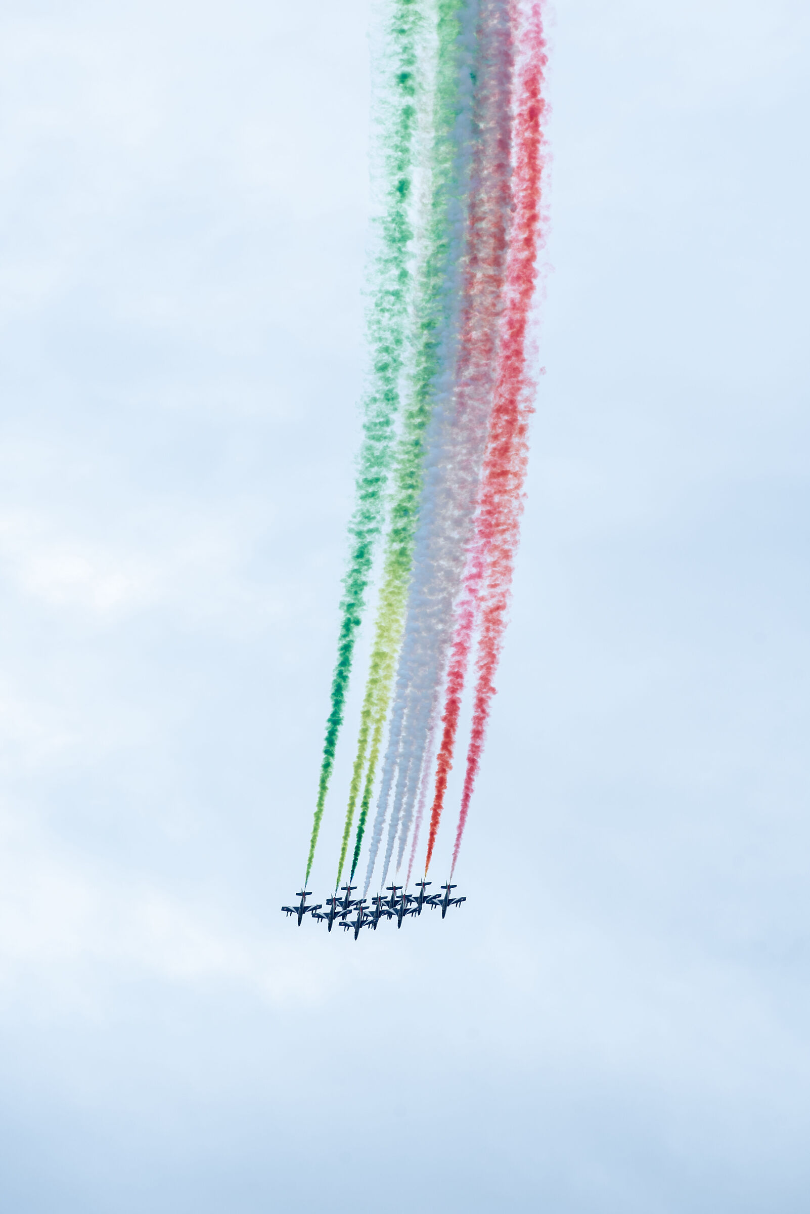 tricolor arrows