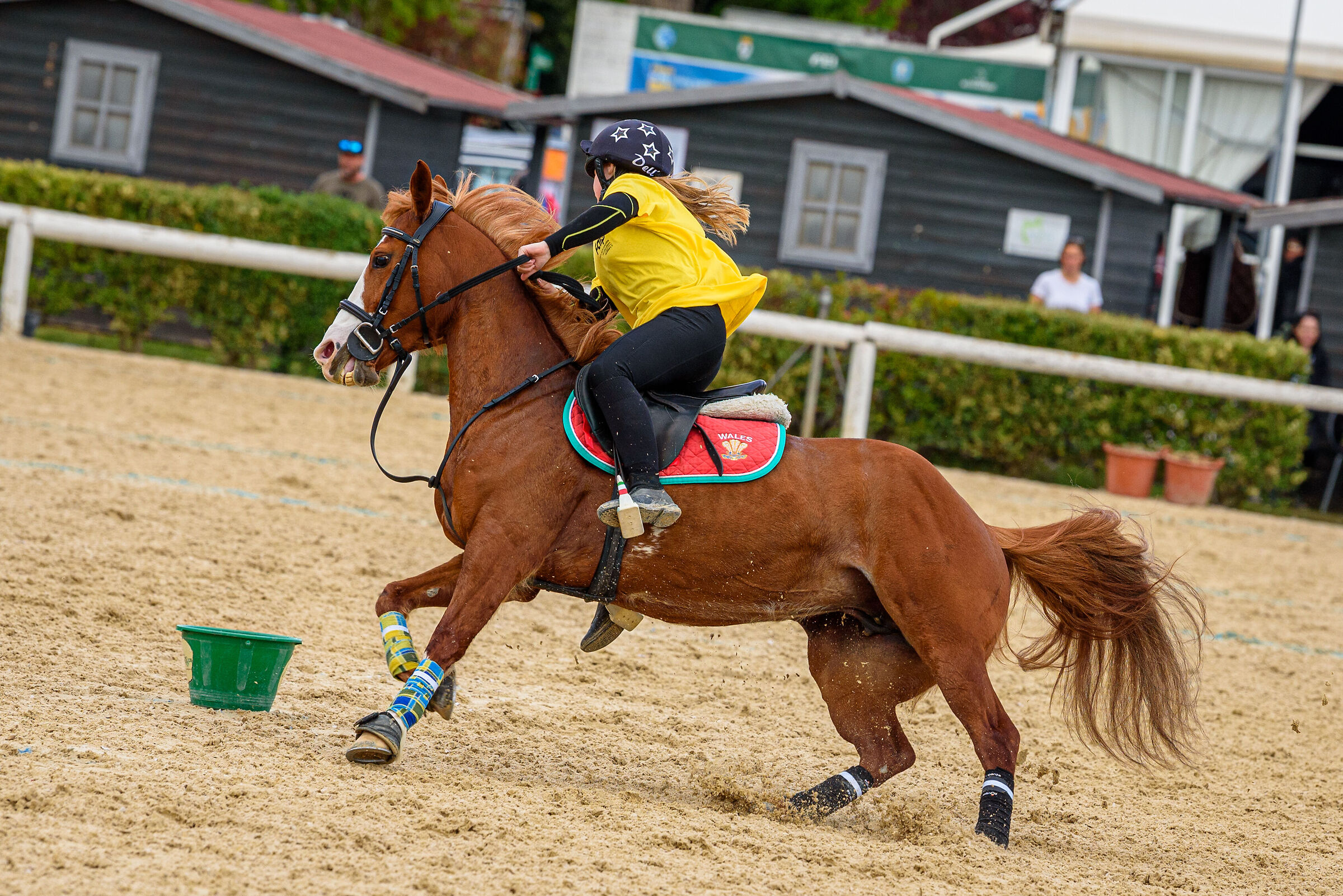 Mounted Game Equestrian Centre