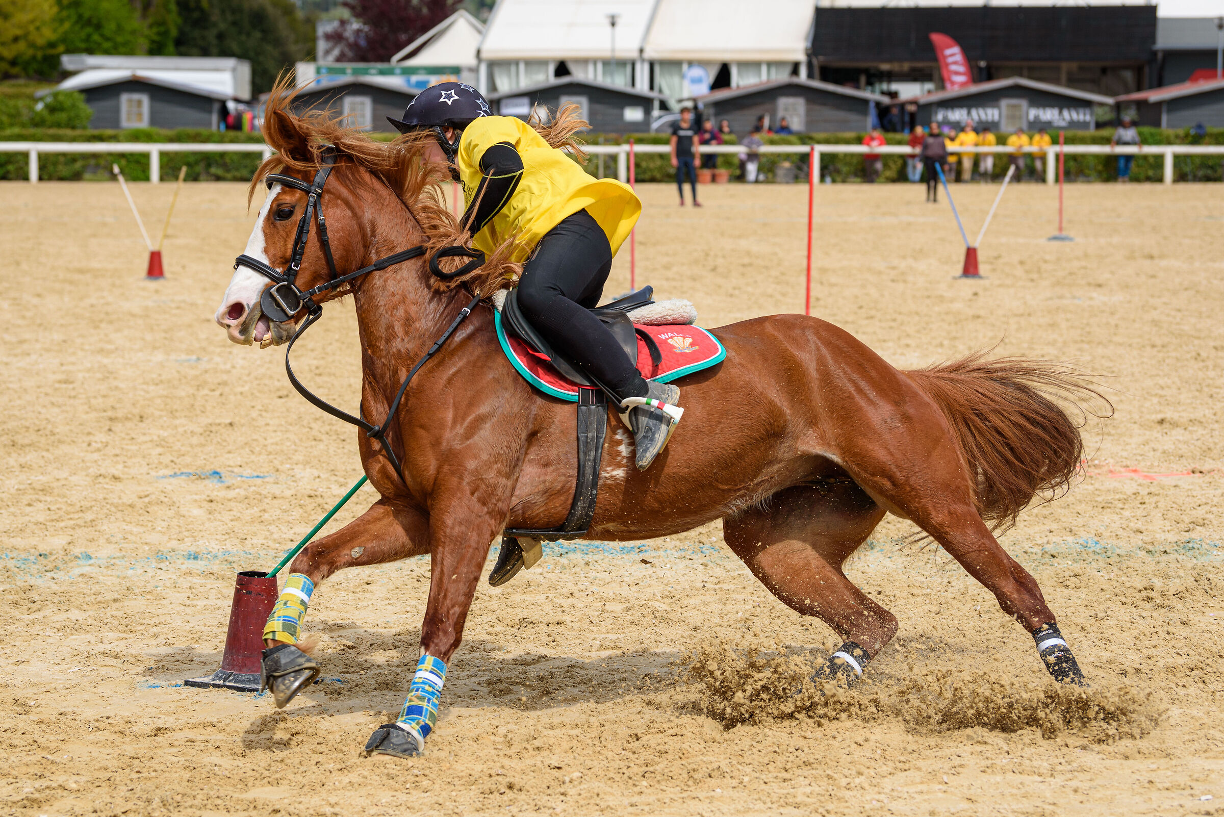 Mounted Game Equestrian Centre