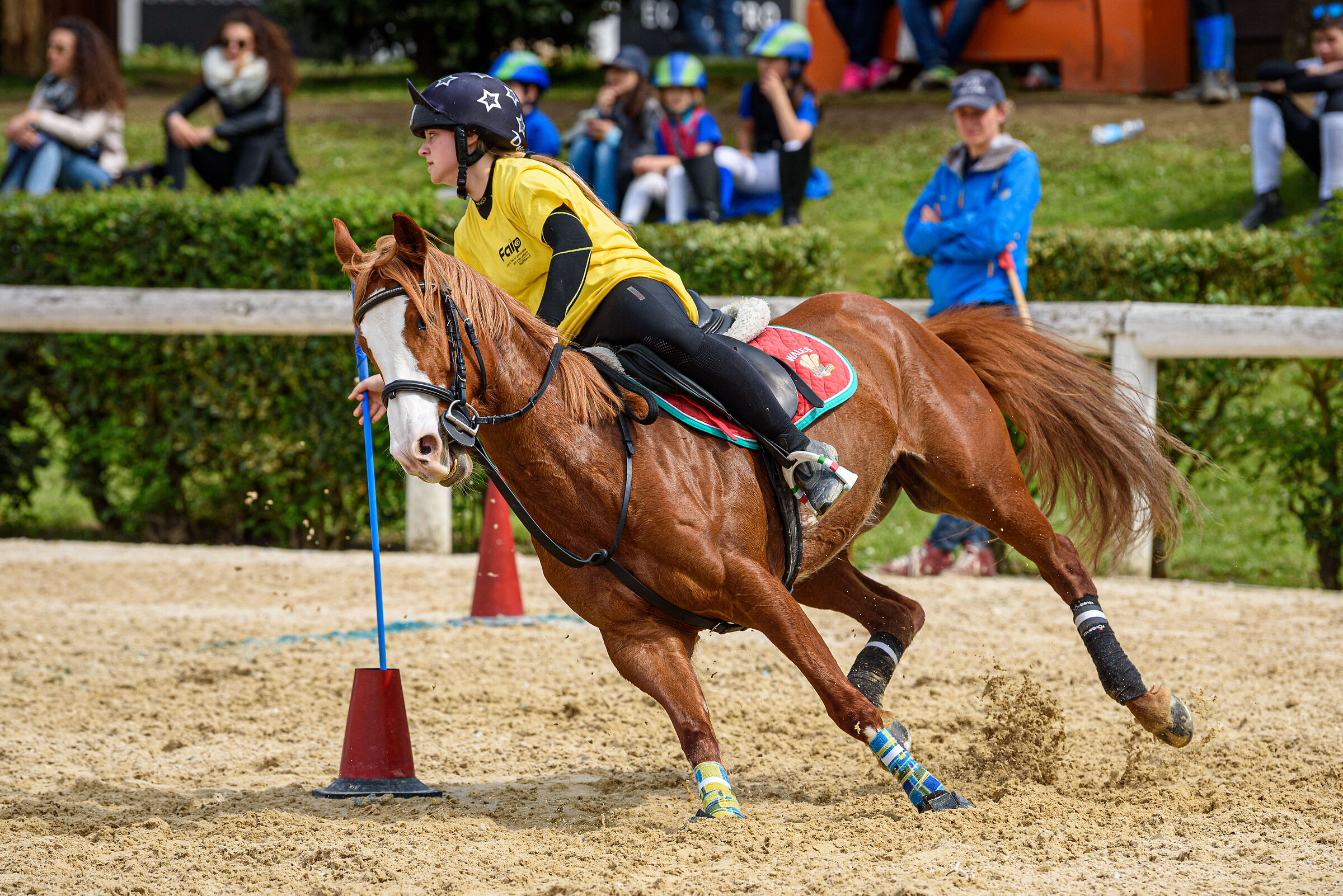 Mounted Game Equestrian Centre
