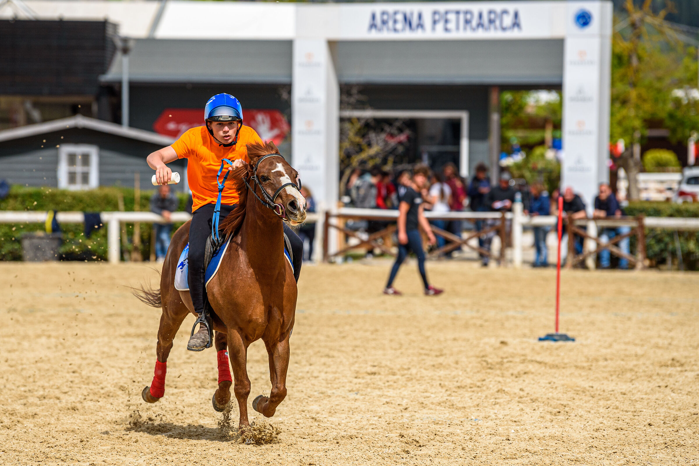 Mounted Game Equestrian Centre