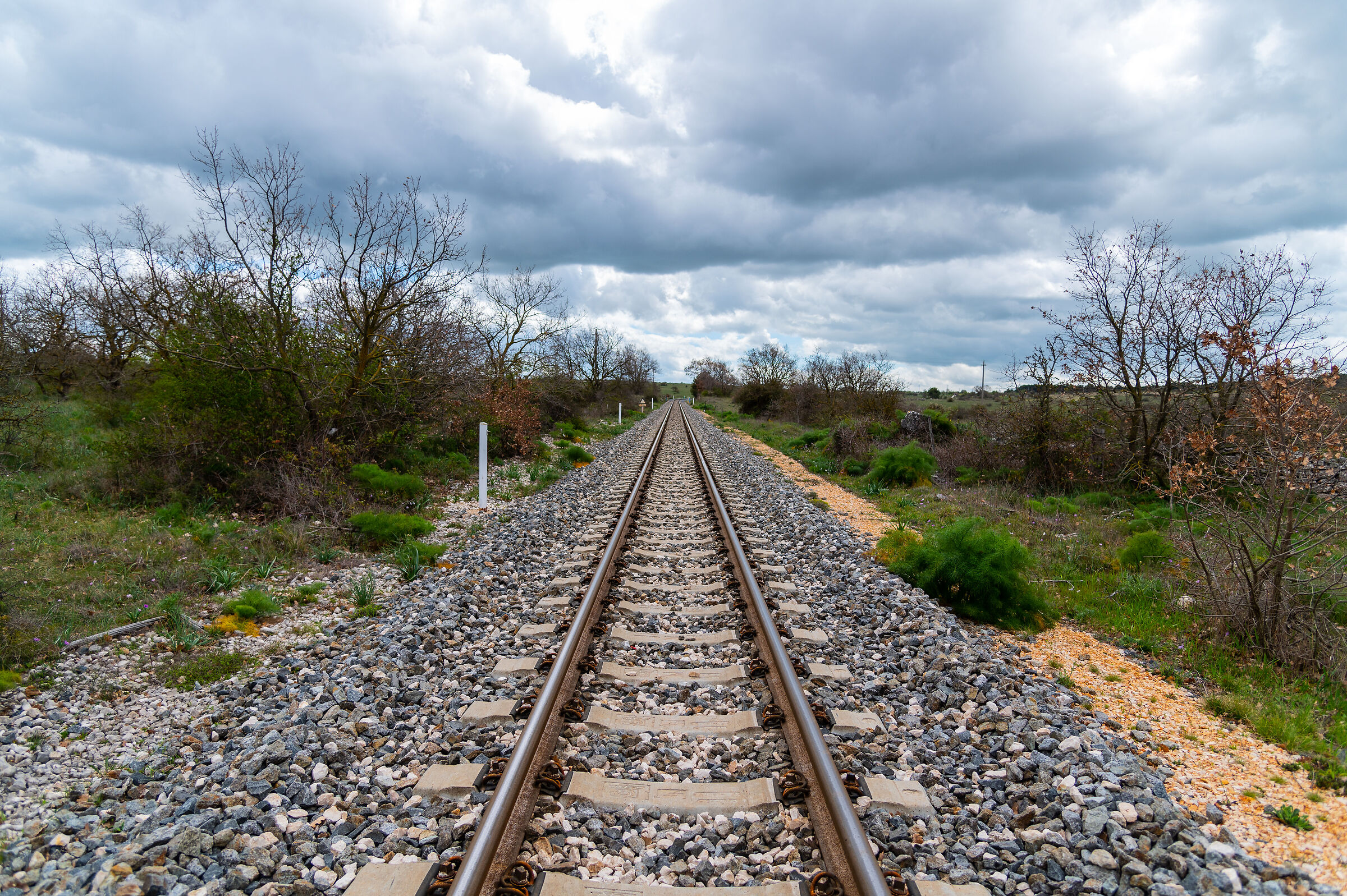 Rails