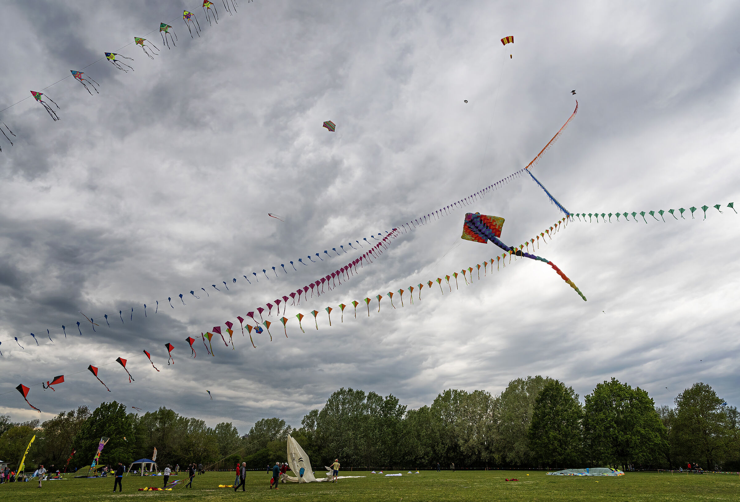 Kites