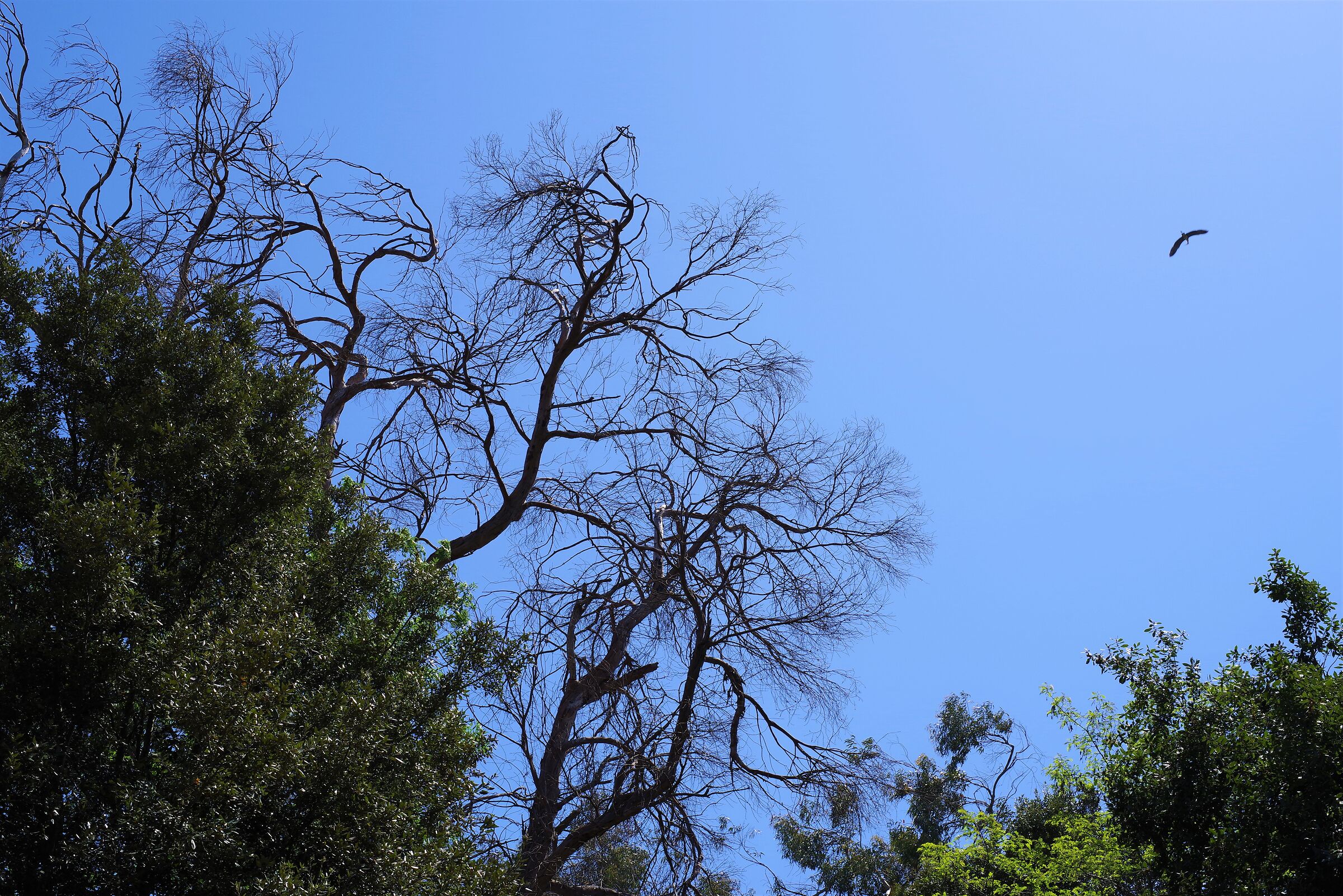 ...ma il cielo è sempre più blu !!!