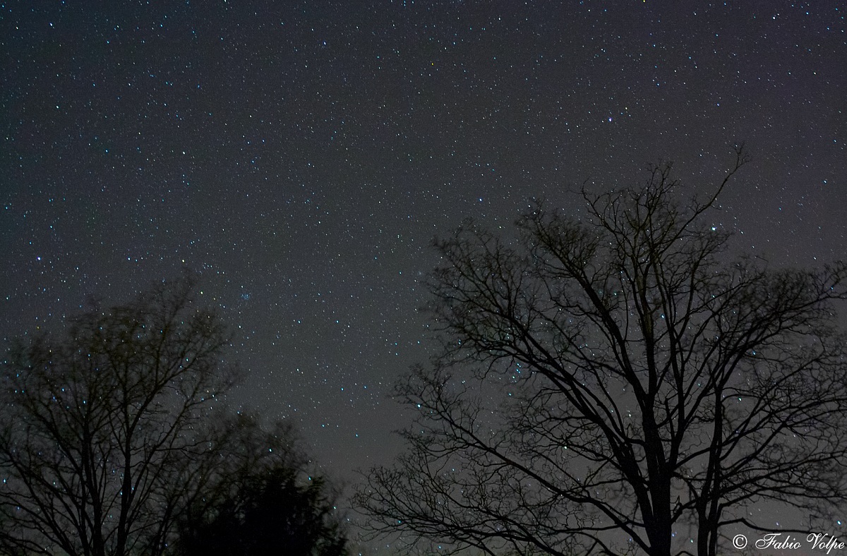 Gems between the branches