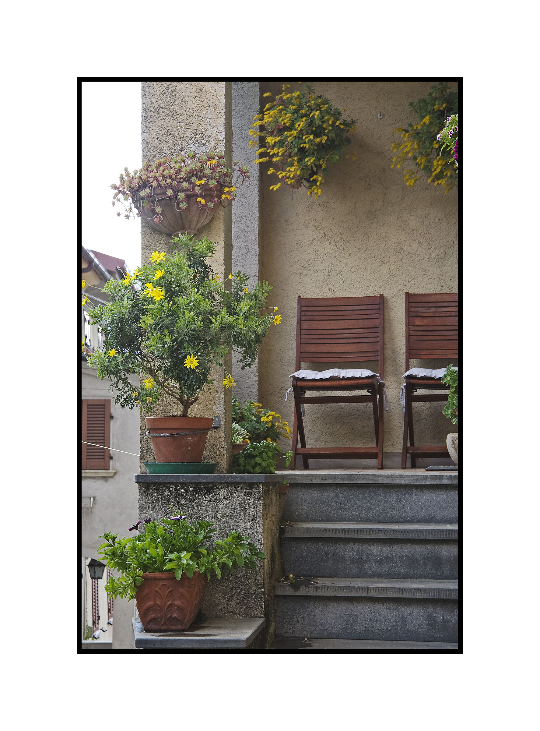 ancient beauty - take care of simplicity