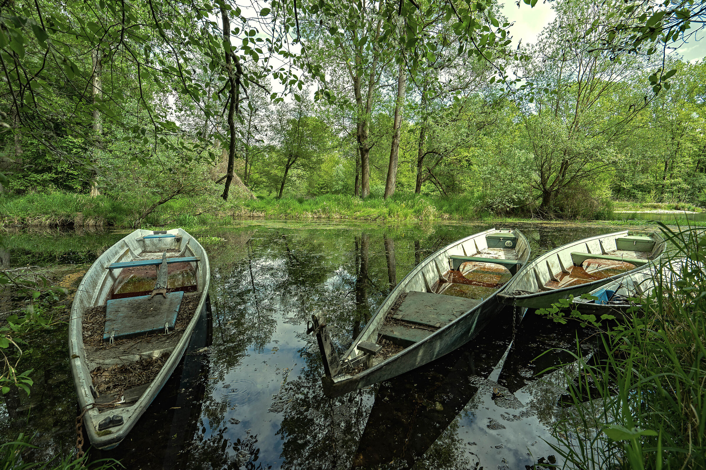 Boats at rest