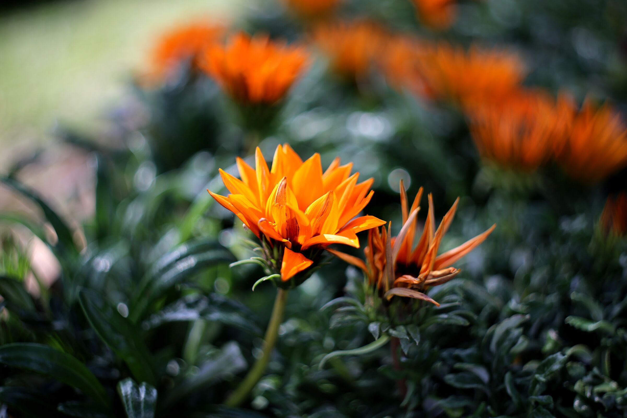 Untitled Photo