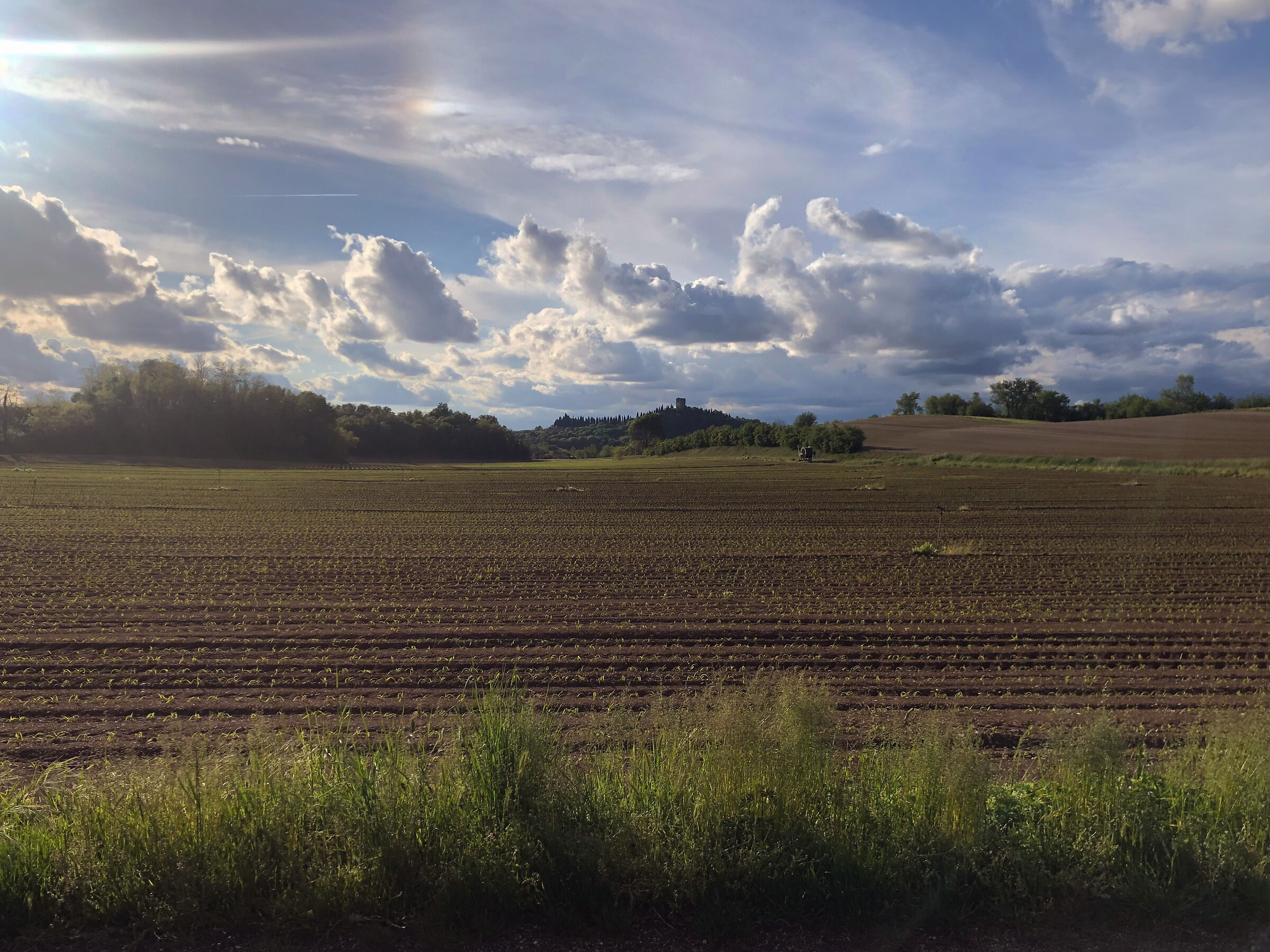 controluce