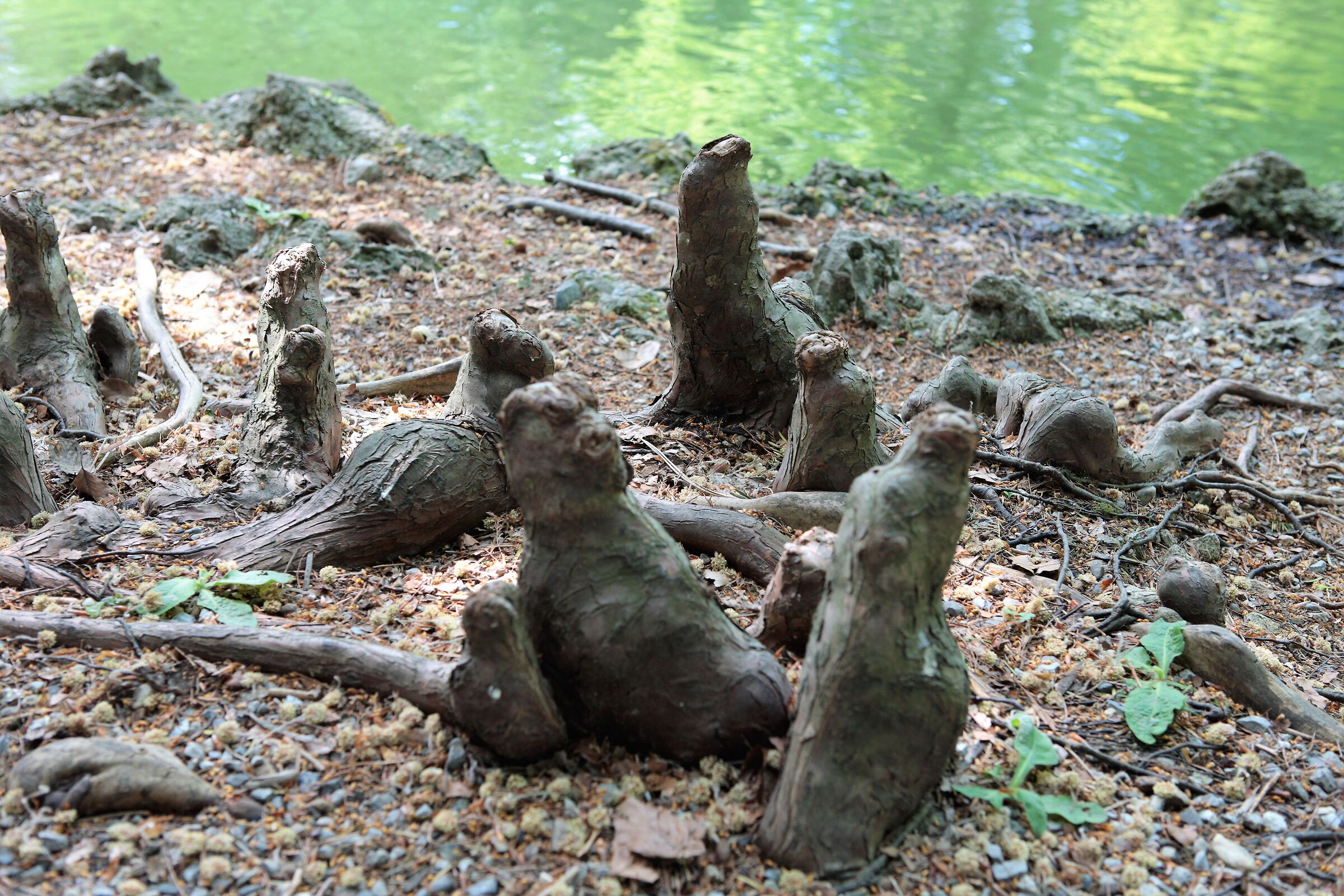 Bitorzoli vagamente antropomorfi.