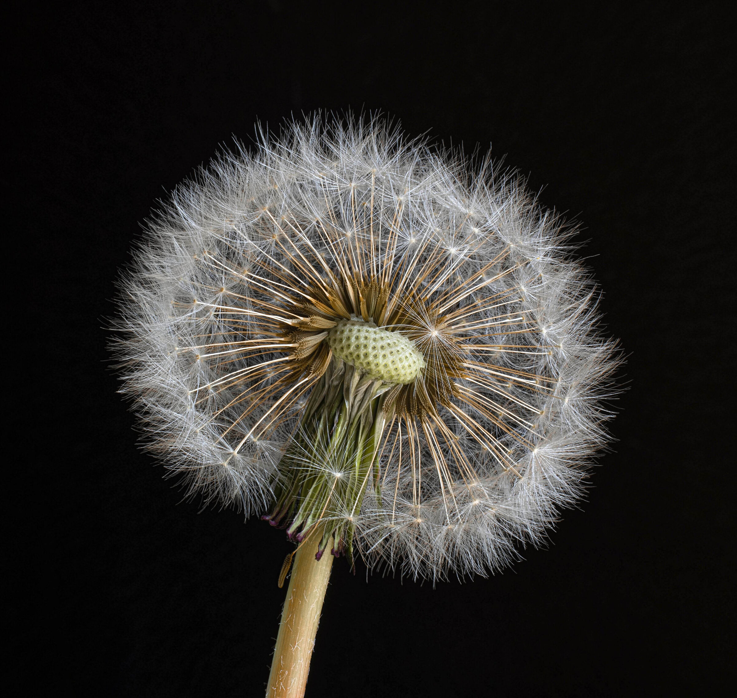 Un piccolo soffio ancor...