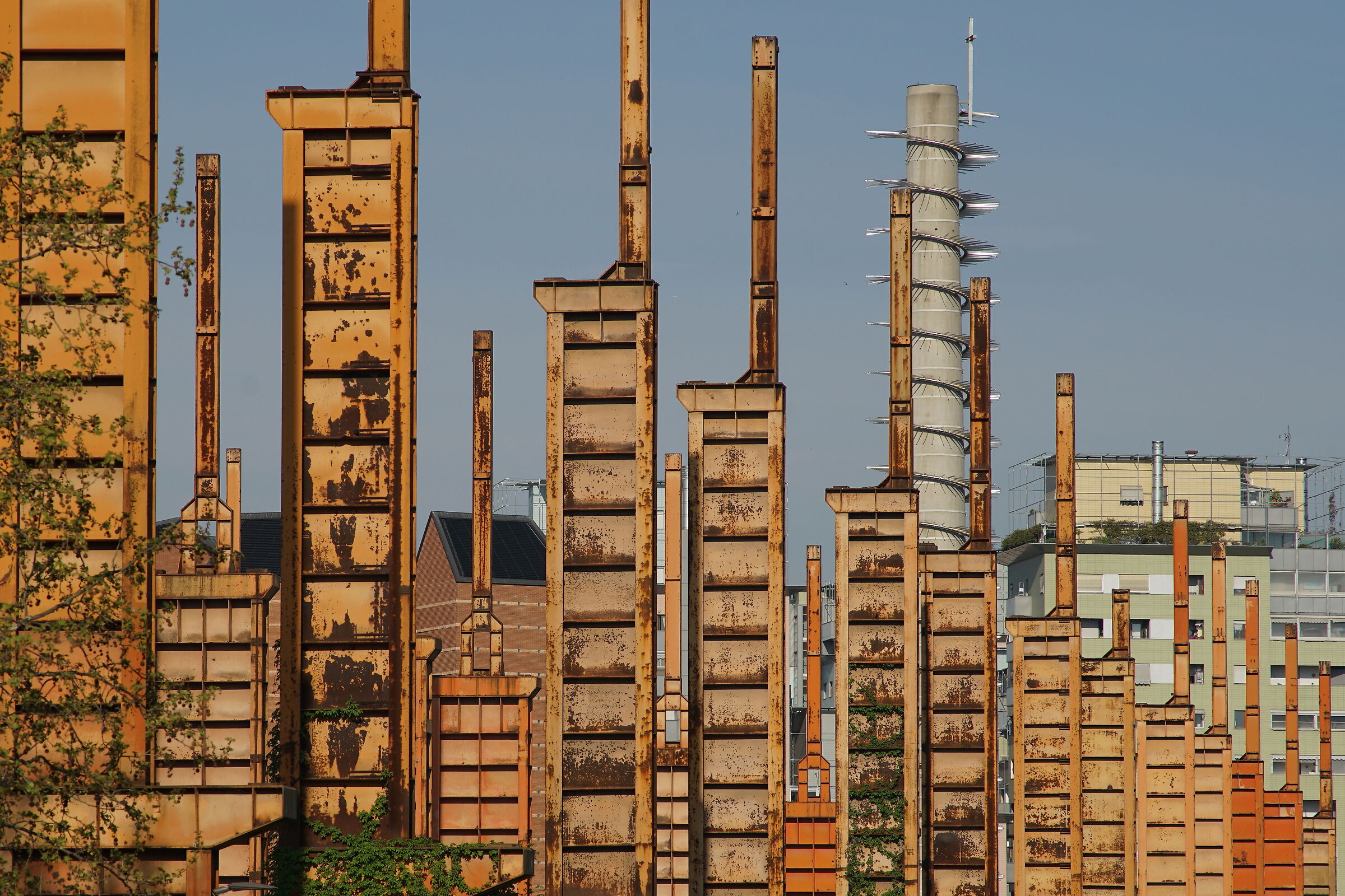 post-industrial forest