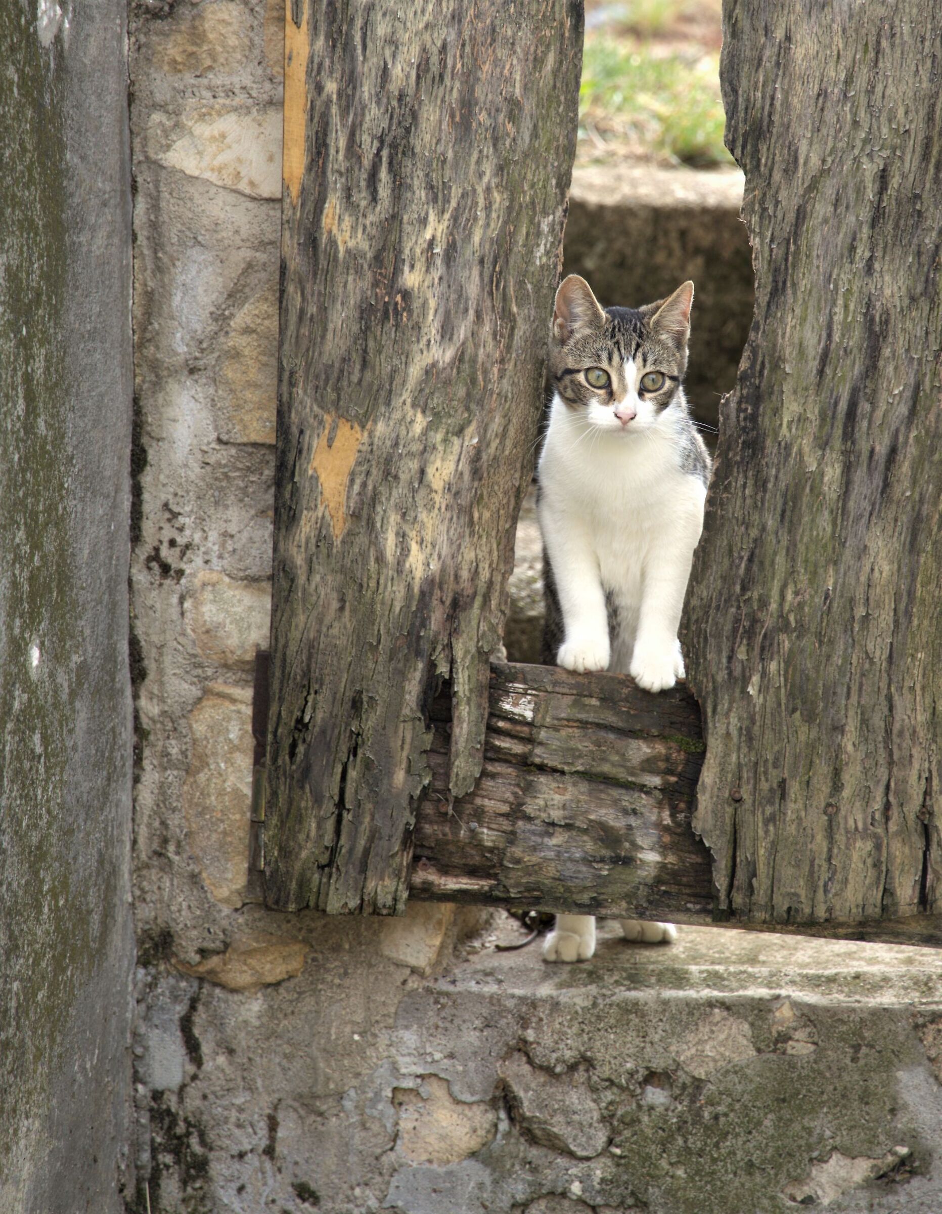 everything under control - she has everything under against