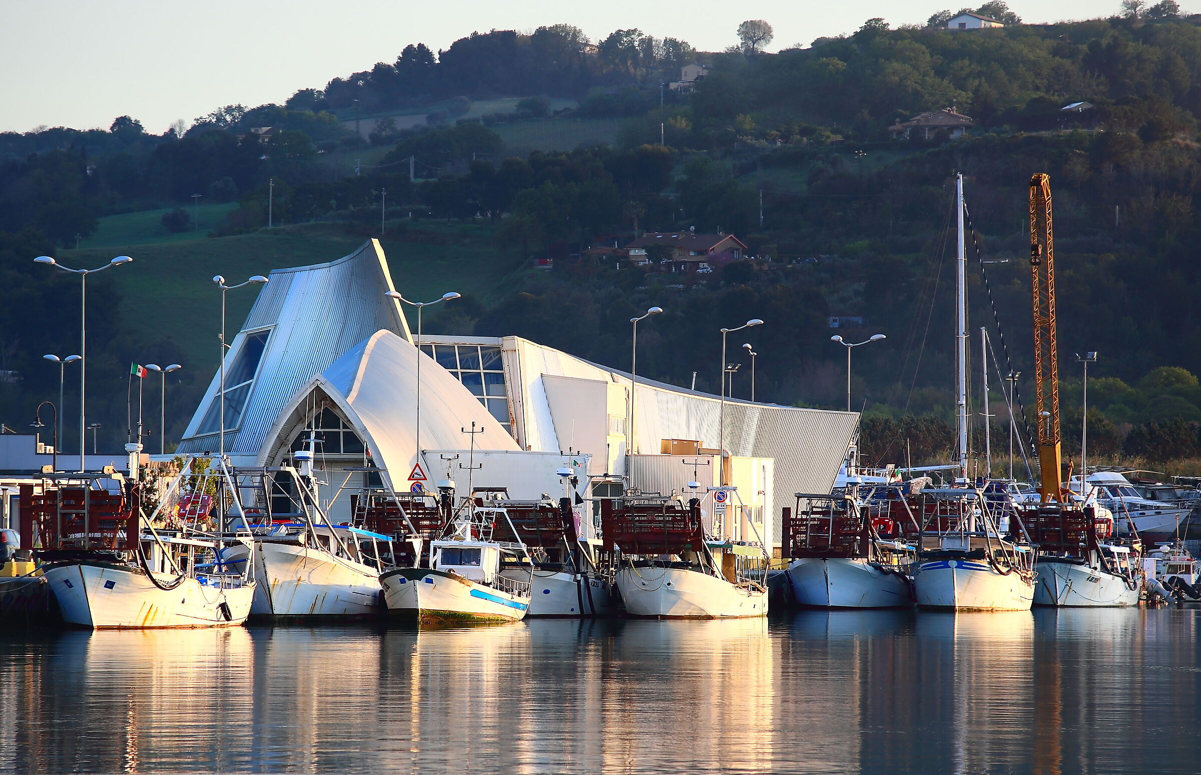 Fishing vessels in PSG