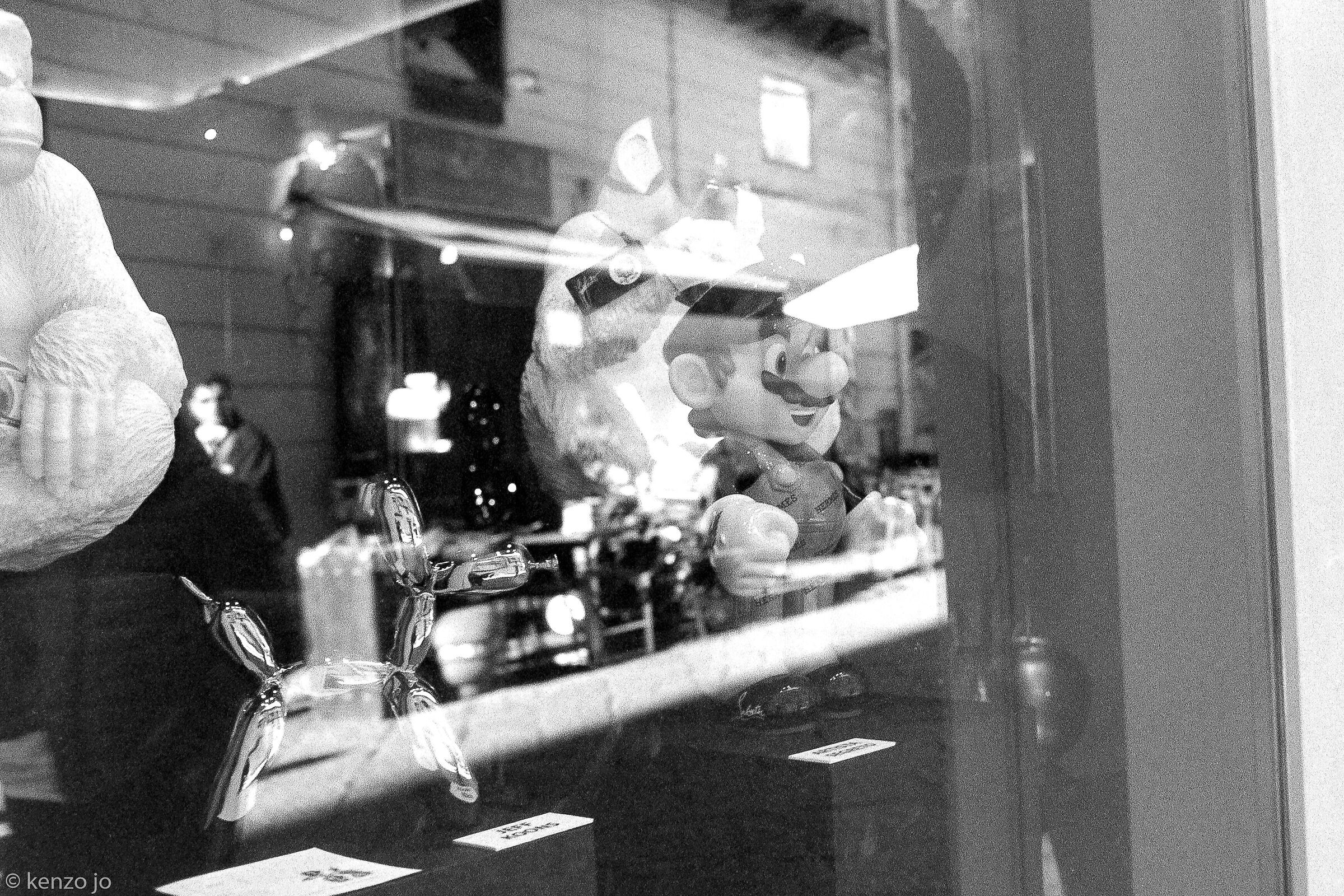 Super ;ario and Ballon dog in the window