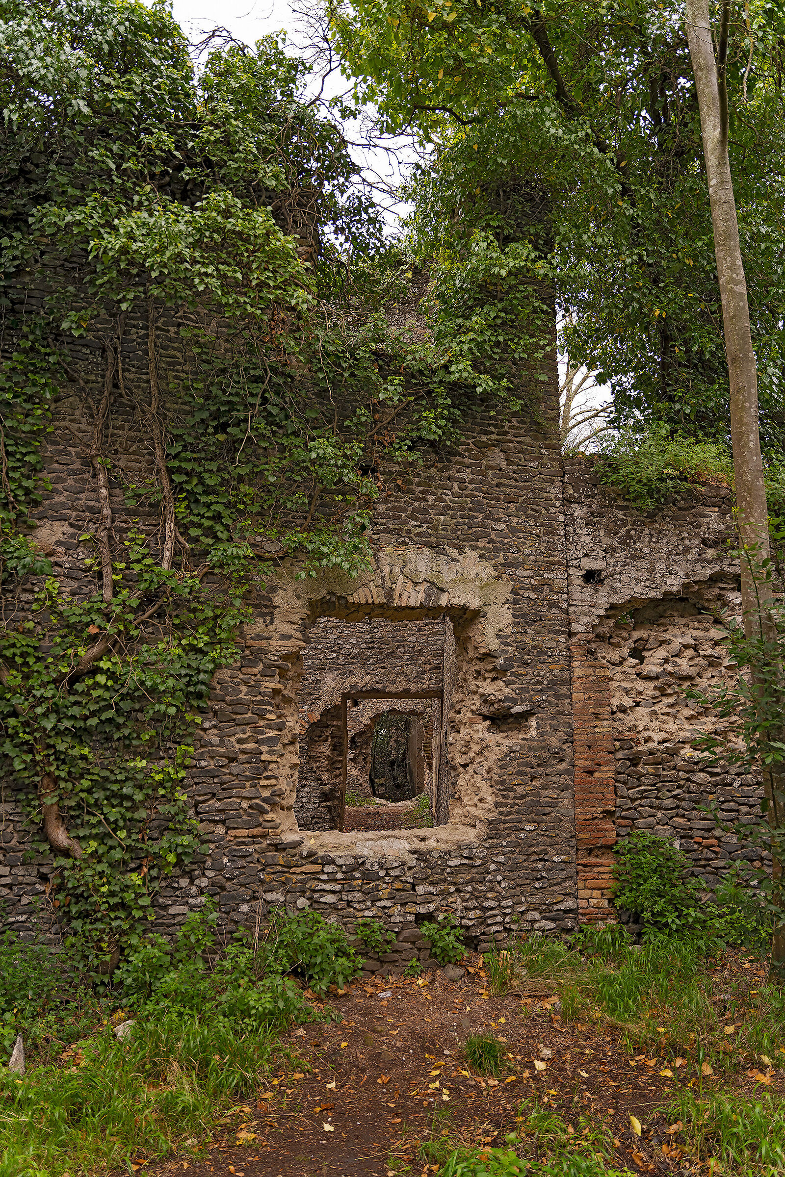 Through the windows of History