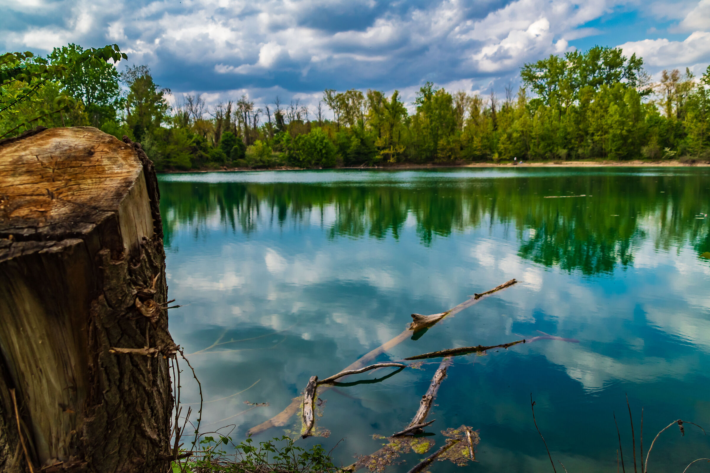 Palata Menasciutto Reserve - Cremona