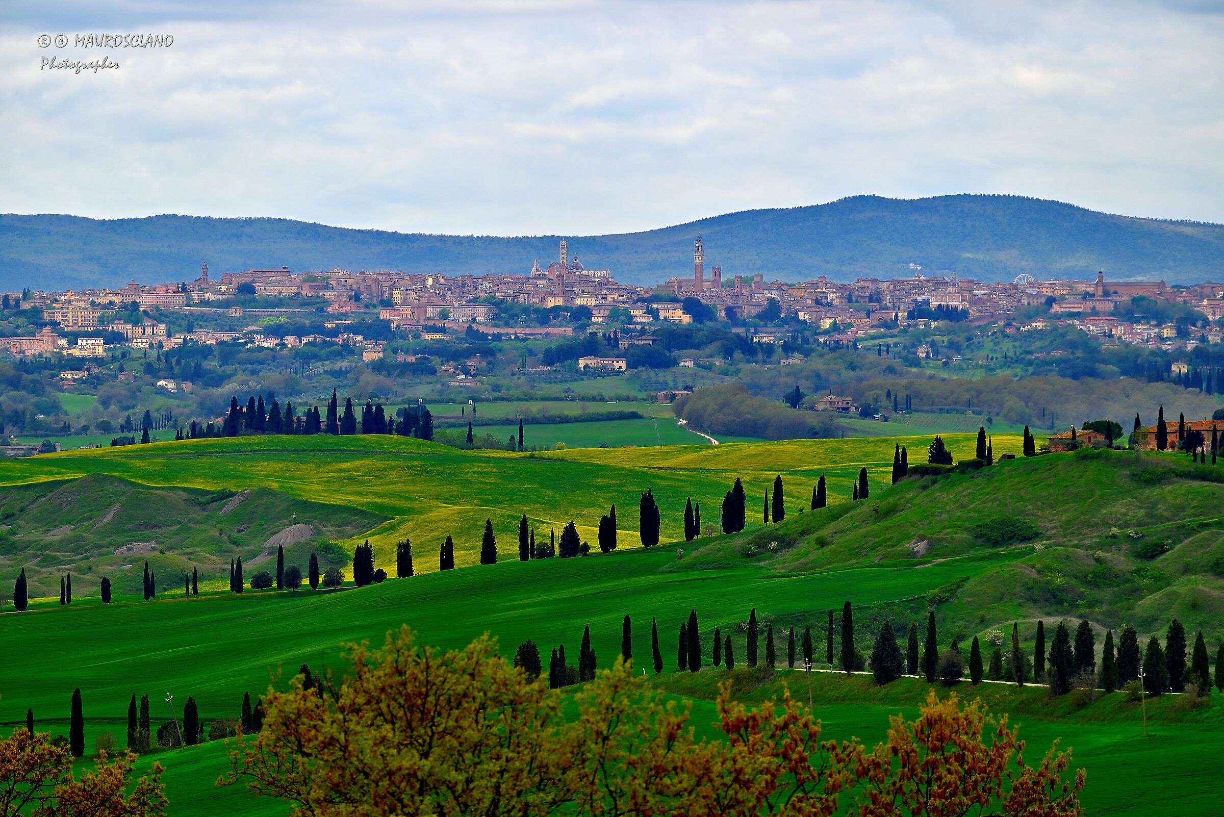 Siena