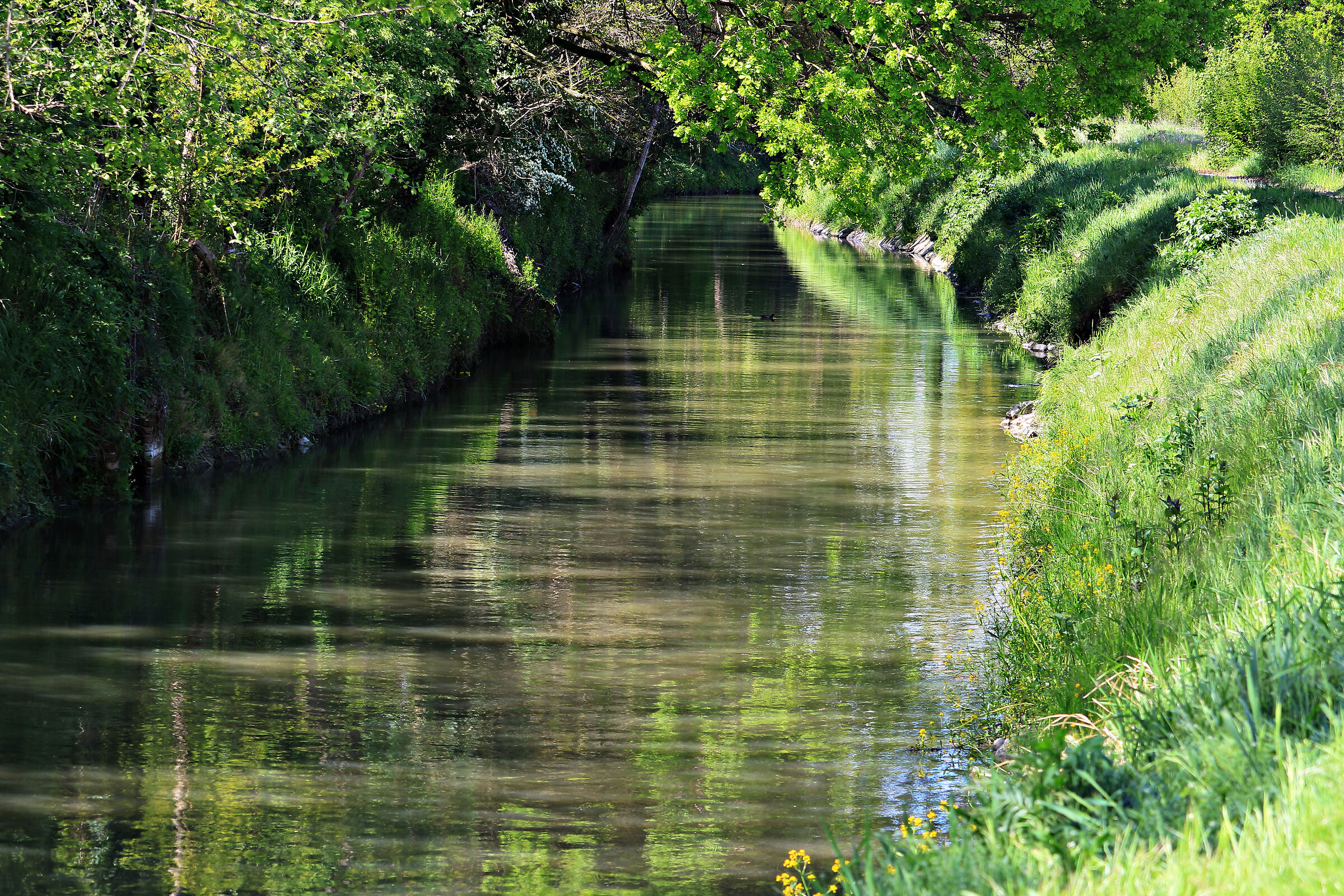 The Naviglio of Cremona in spring