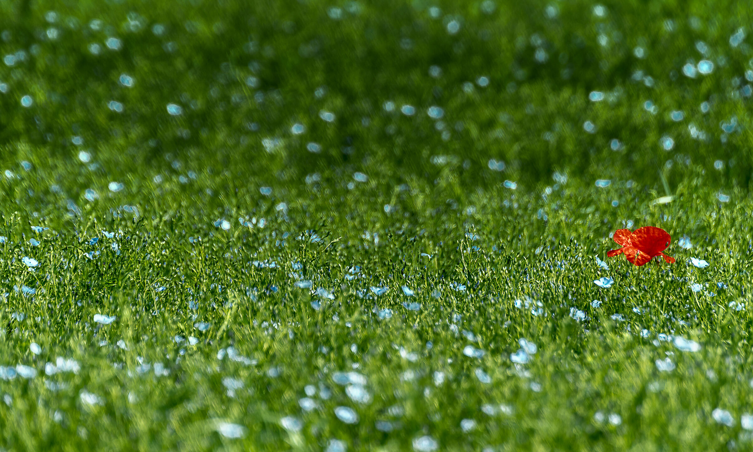 Umbrian campaign 2022 2