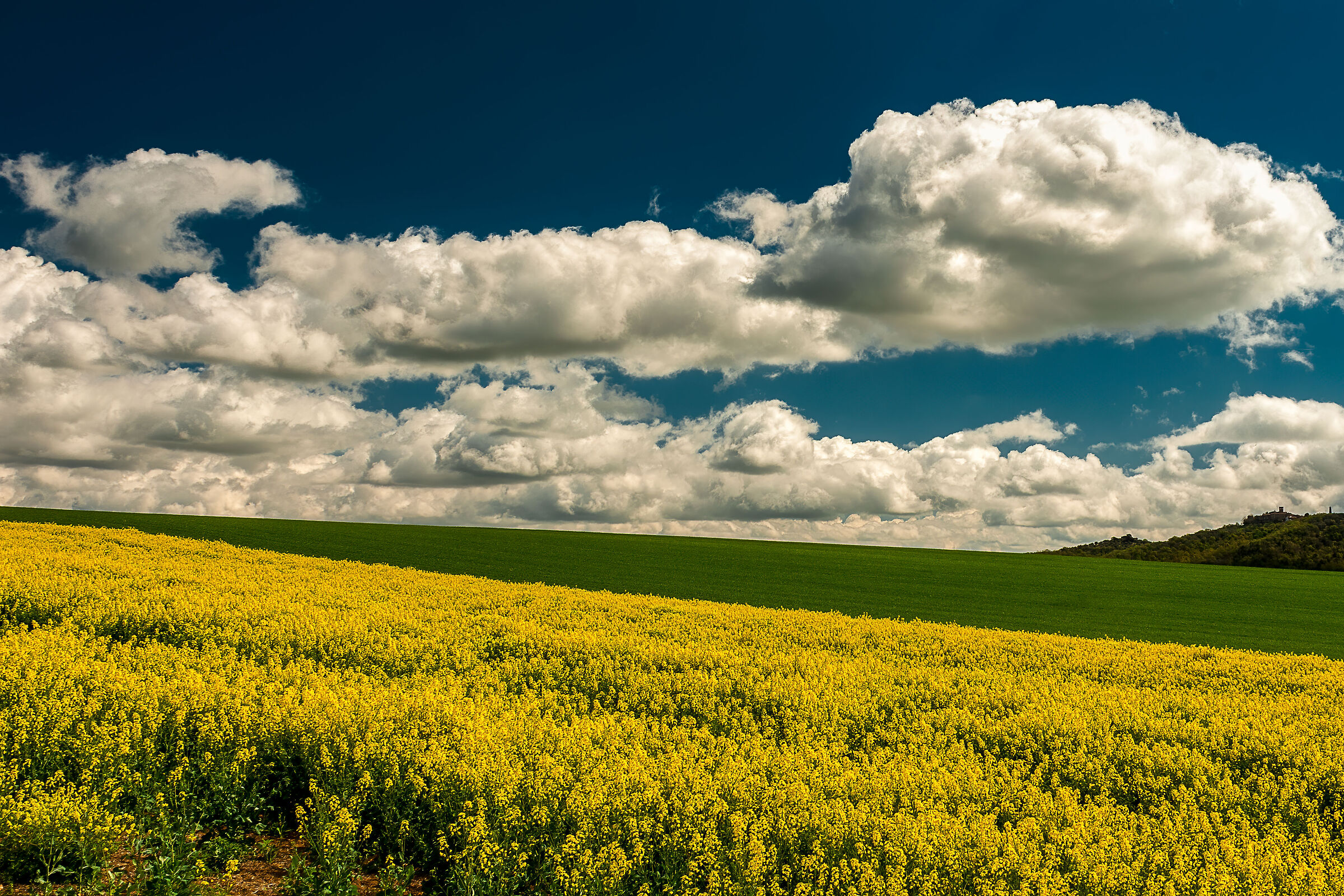 Umbrian campaign 2022 3